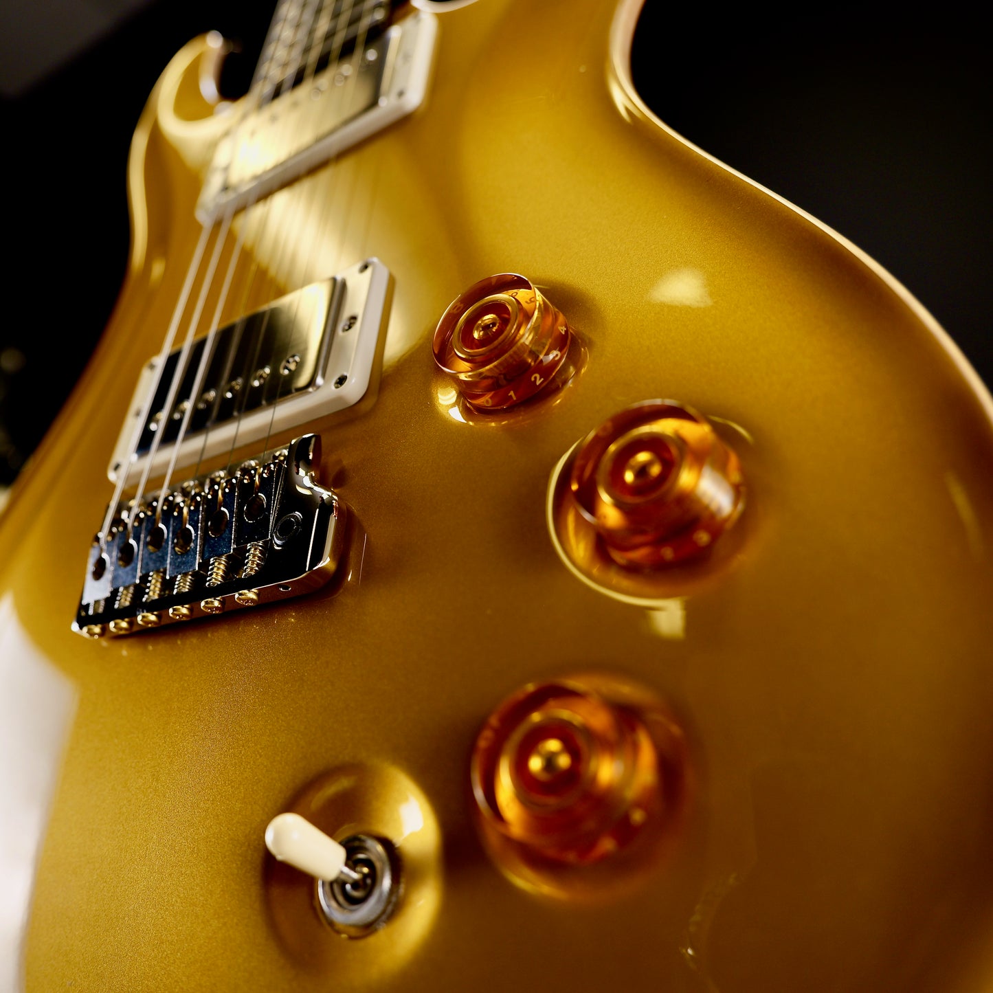 PRS DGT Gold Top Moons