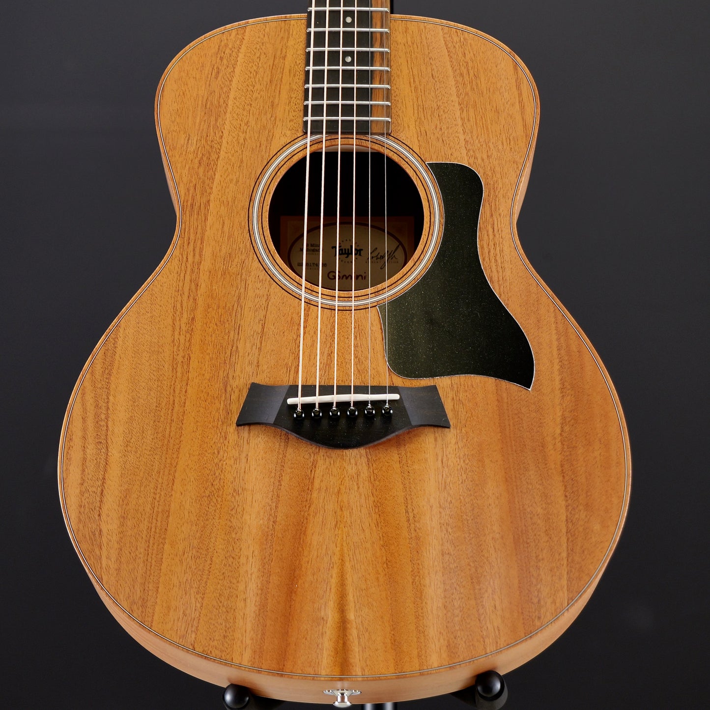 Taylor GS Mini Mahogany