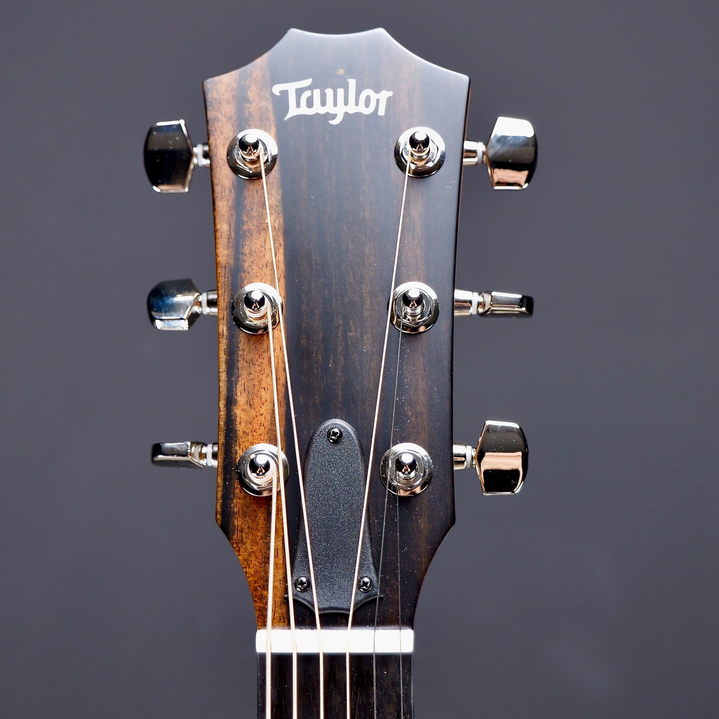 Taylor 314ce Studio Special Edition