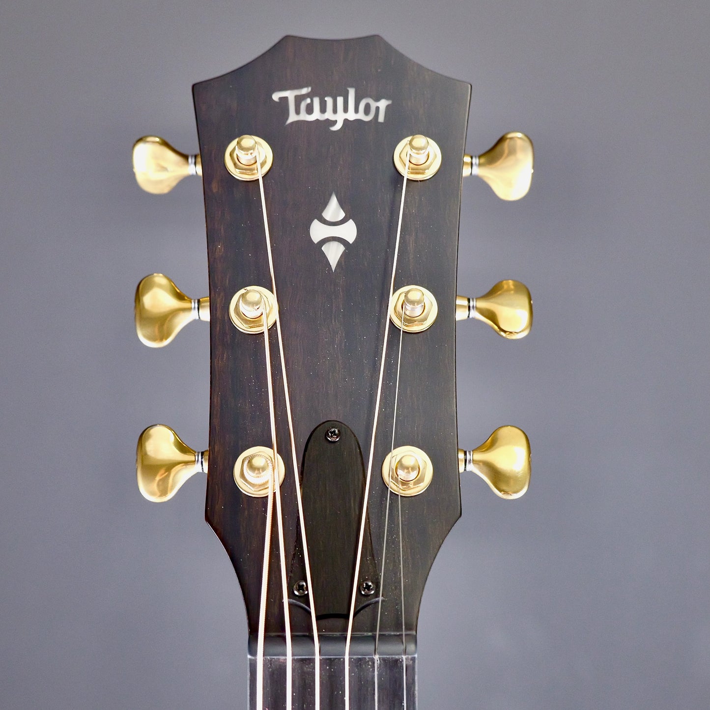 Taylor Builder's Edition 324ce