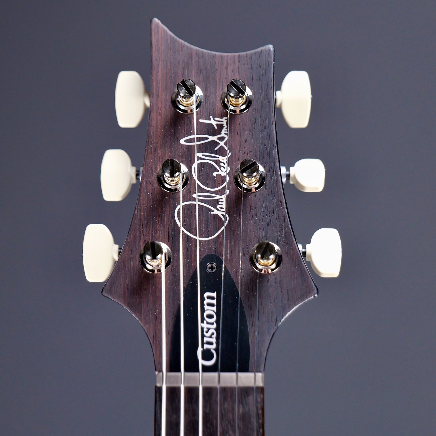 PRS Custom 24 Purple Mist