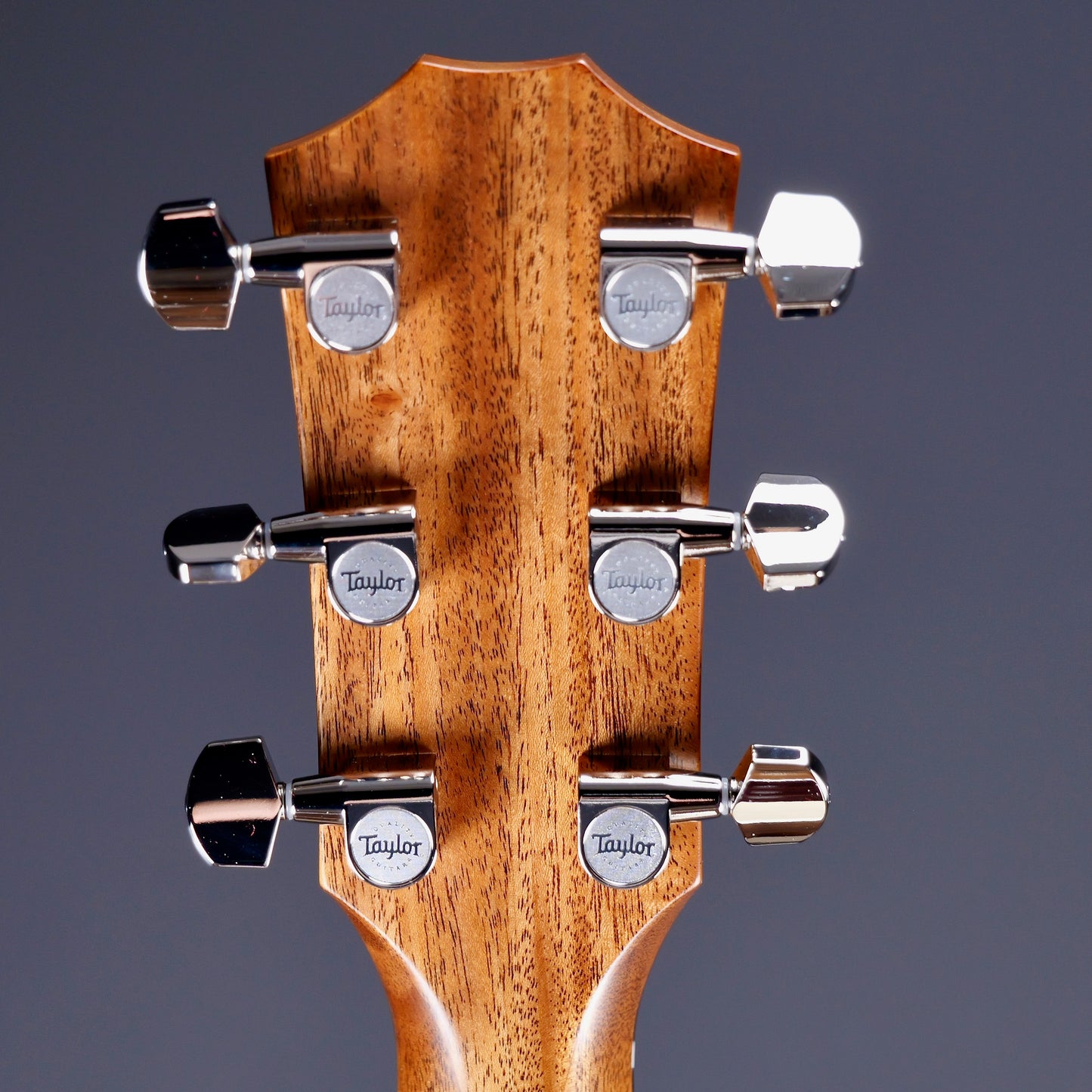 Taylor 414ce Studio
