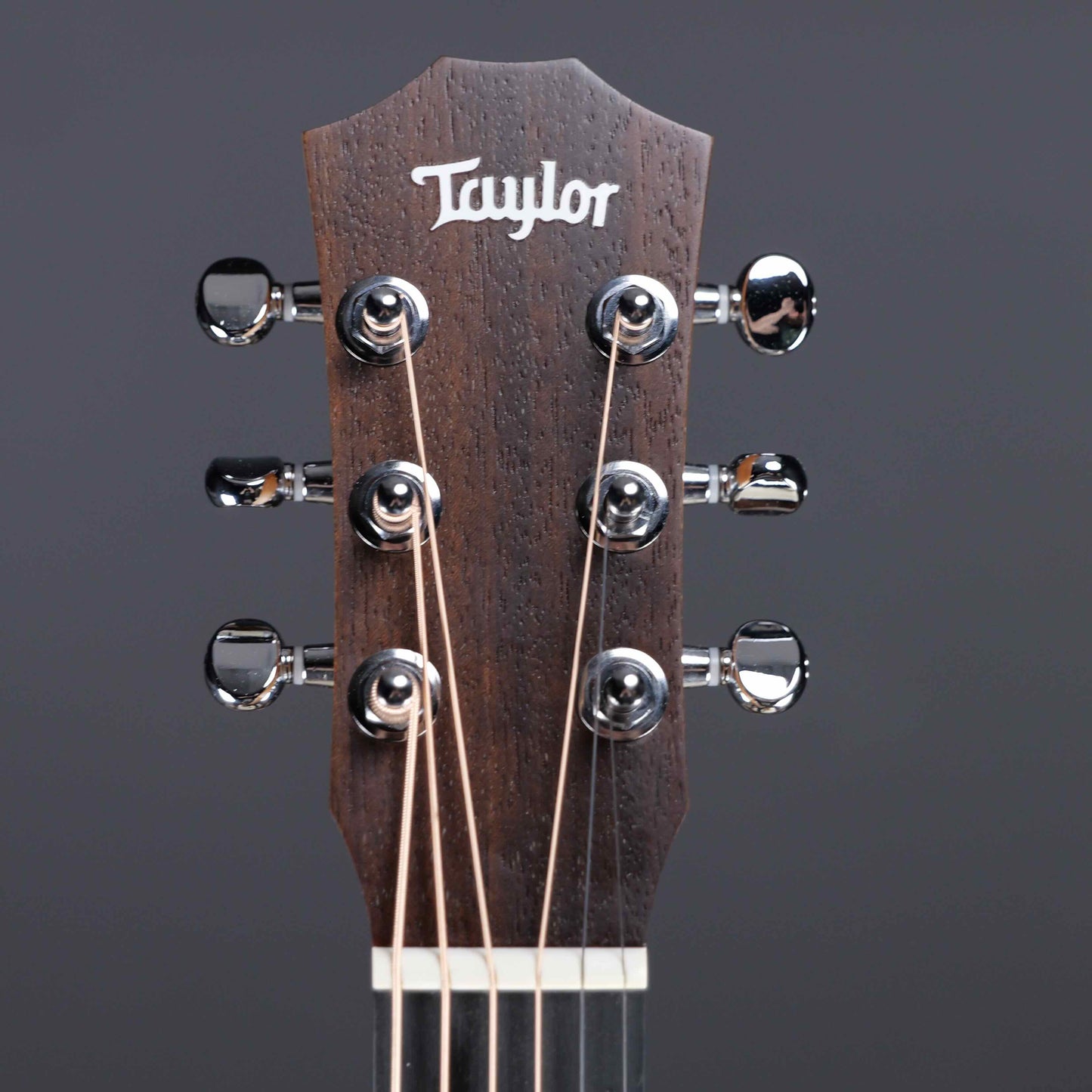 Taylor Baby Mahogany (BT2)