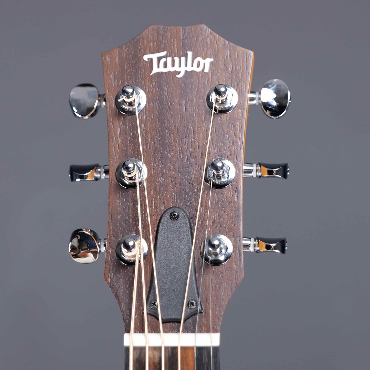Taylor GS Mini Sapele