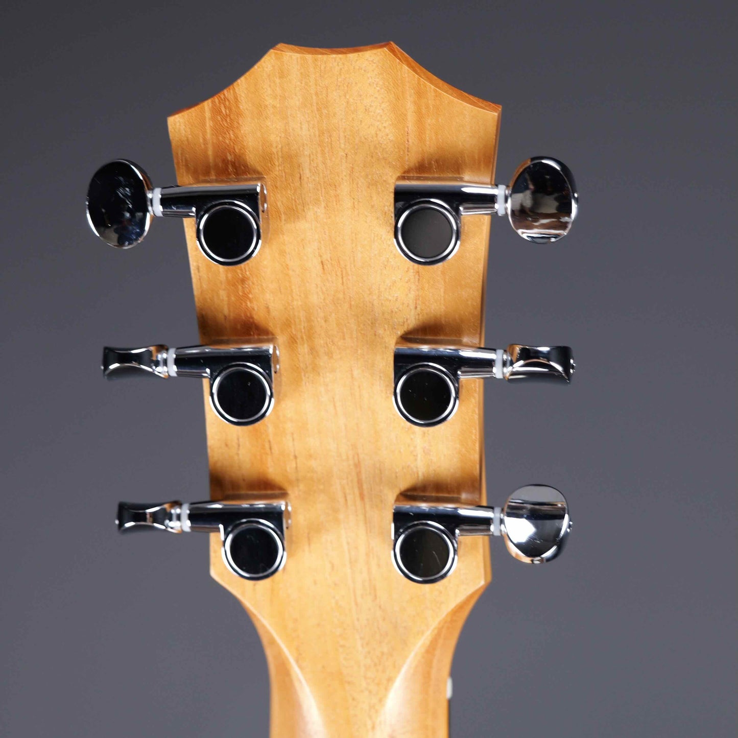 Taylor GS Mini Sapele