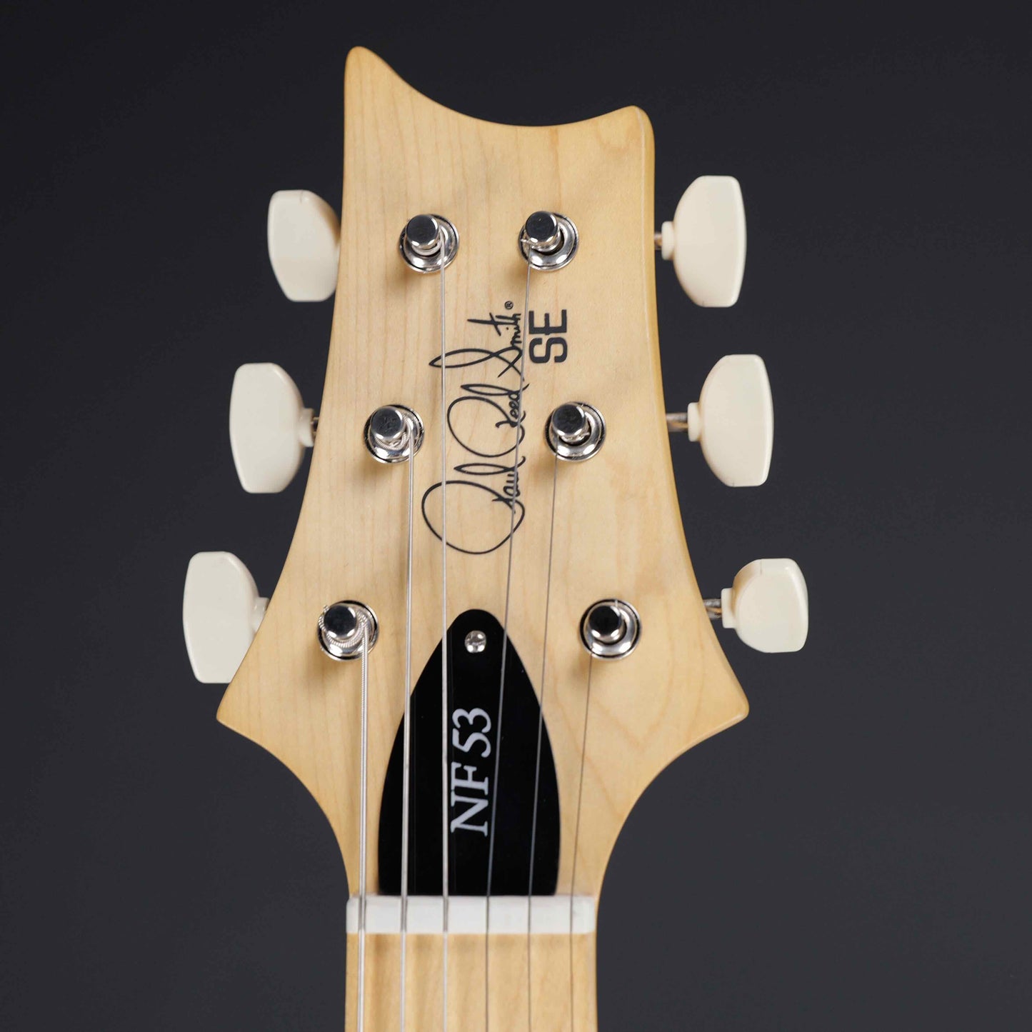 PRS NF53 Black Doghair