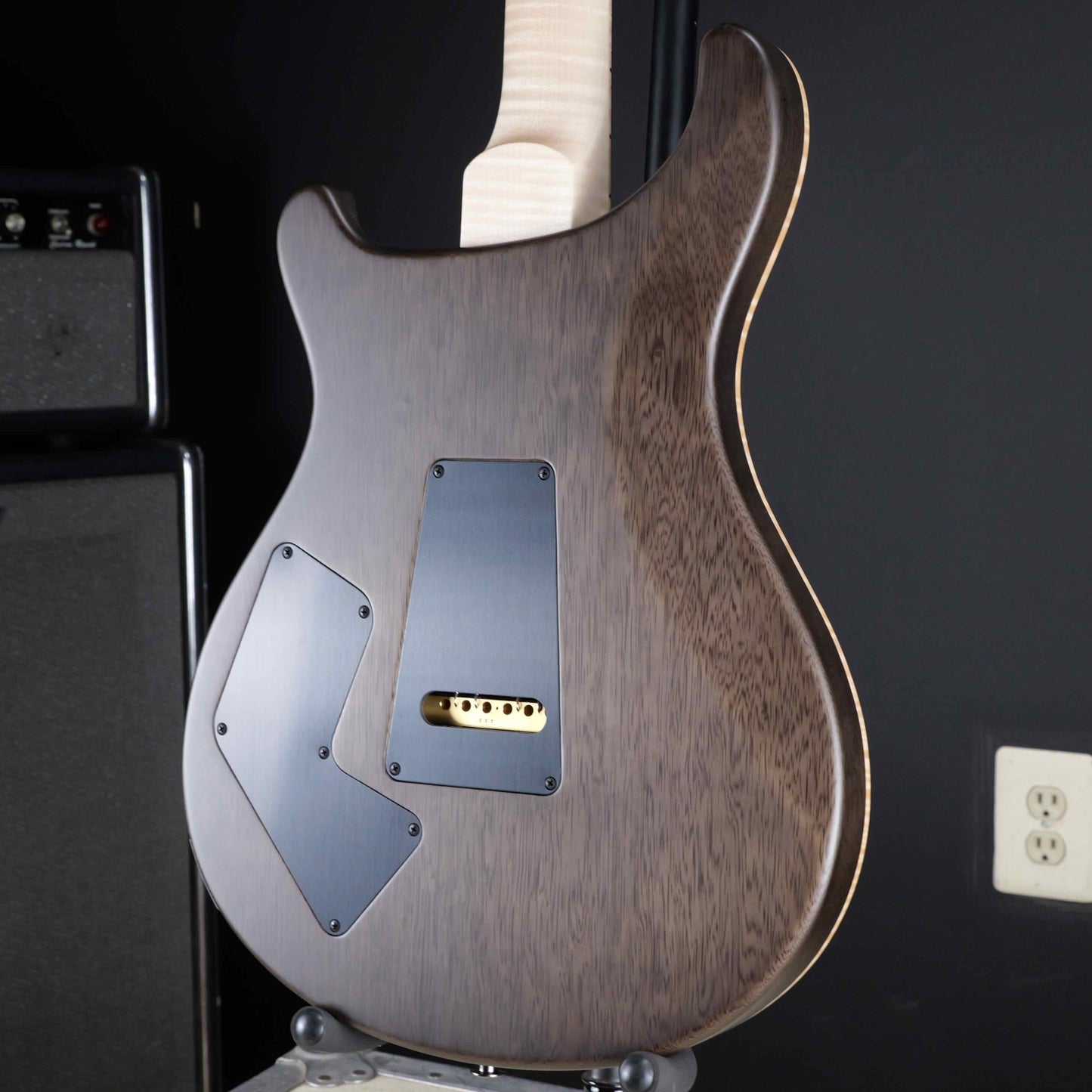 PRS Wood Library Modern Eagle V Custom Color 10 Top Satin