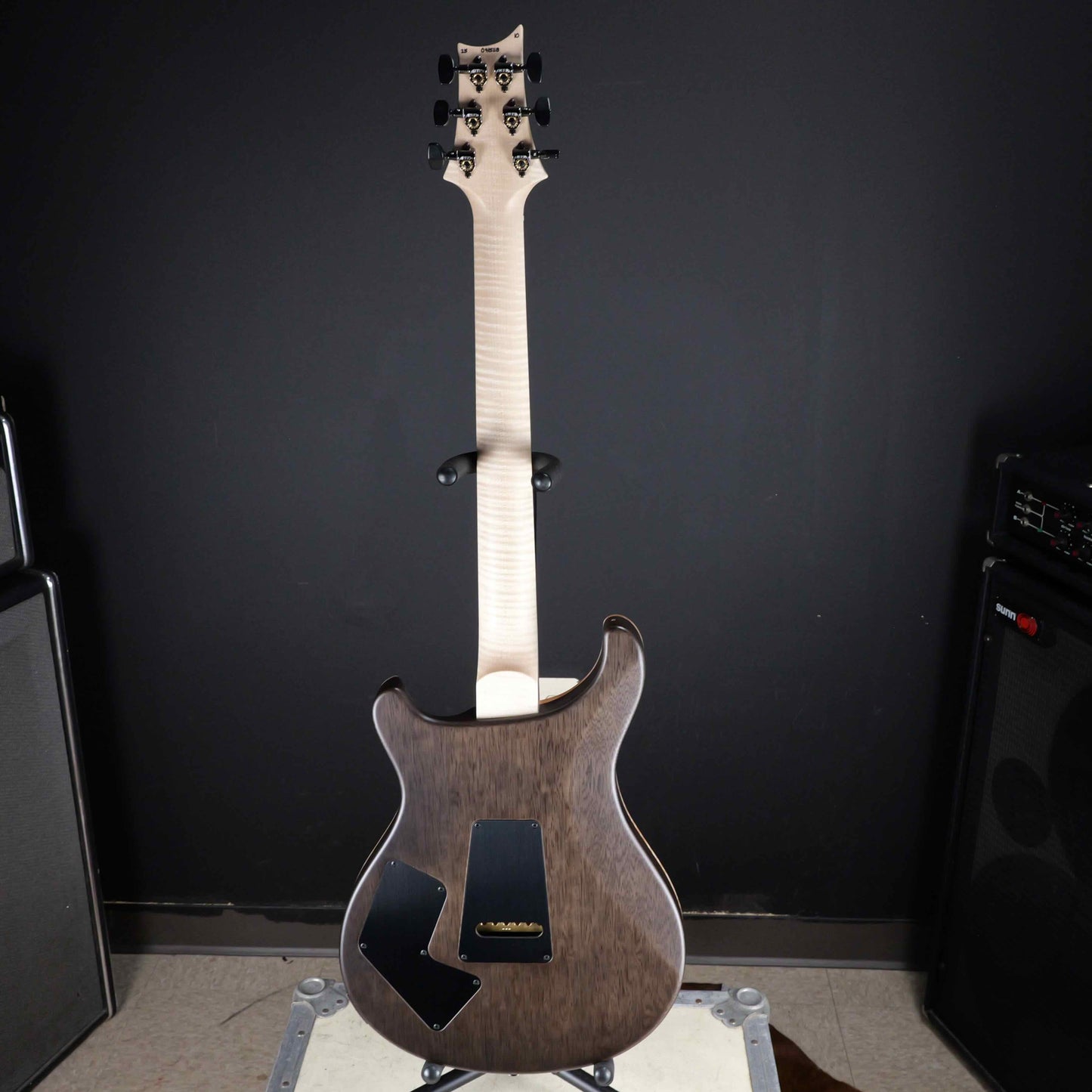 PRS Wood Library Modern Eagle V Custom Color 10 Top Satin