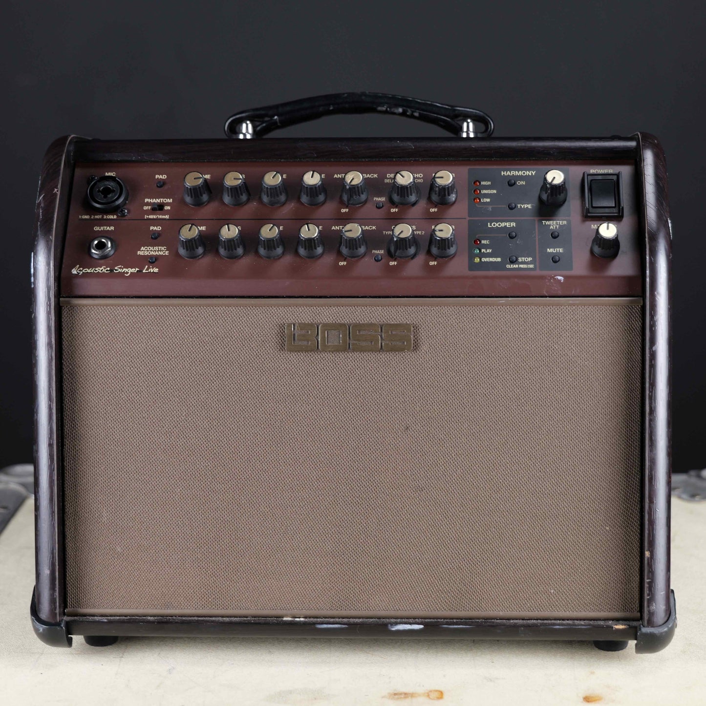 Boss Acoustic Singer Live