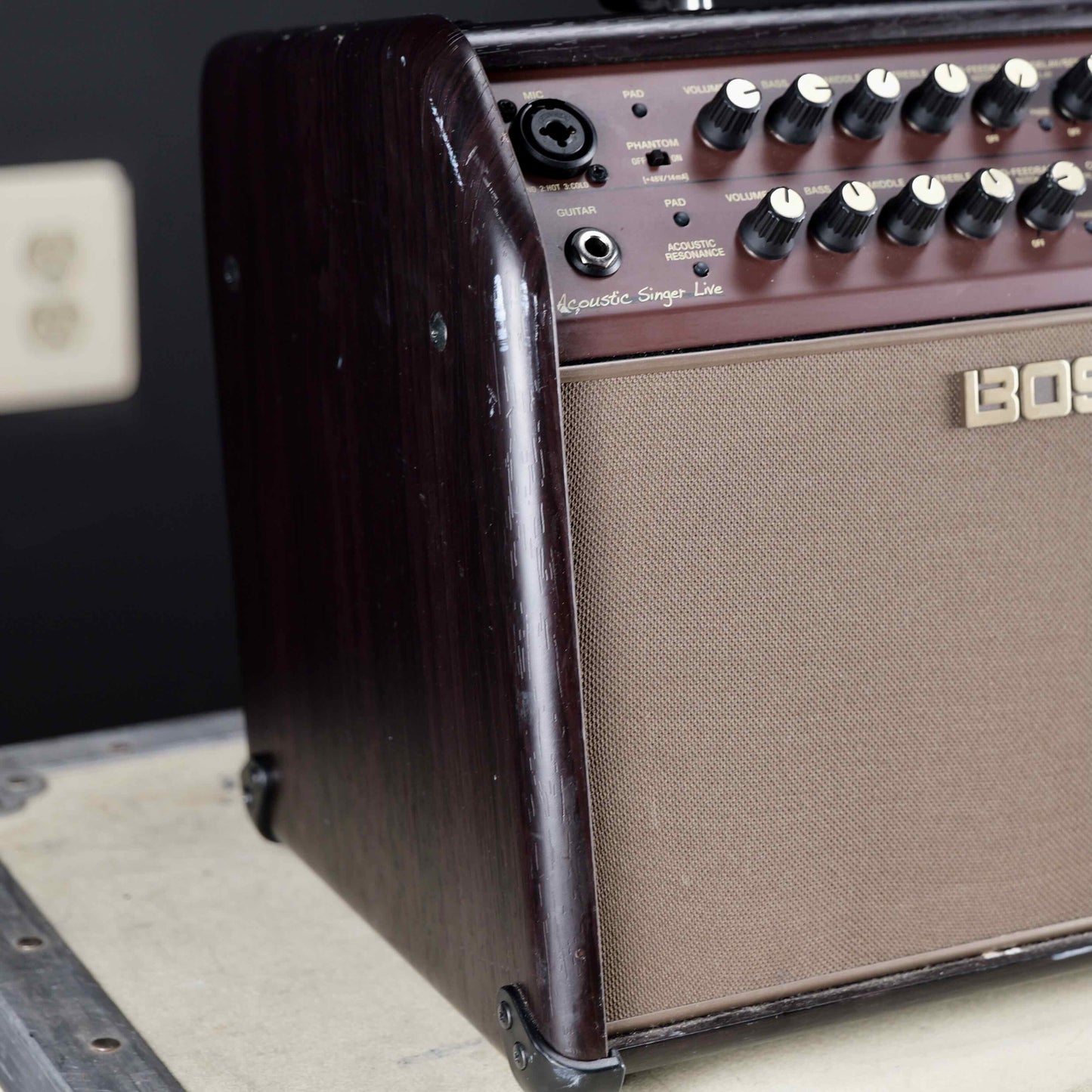 Boss Acoustic Singer Live