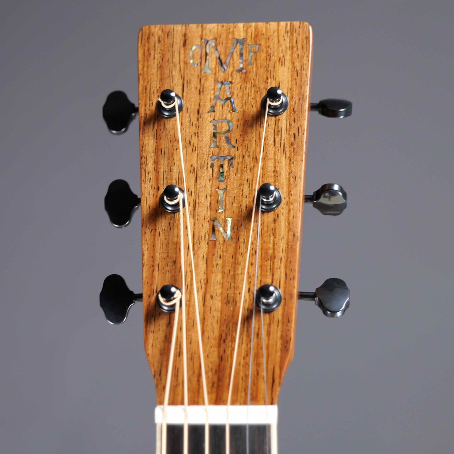 Martin OM Mikael Åkerfeldt