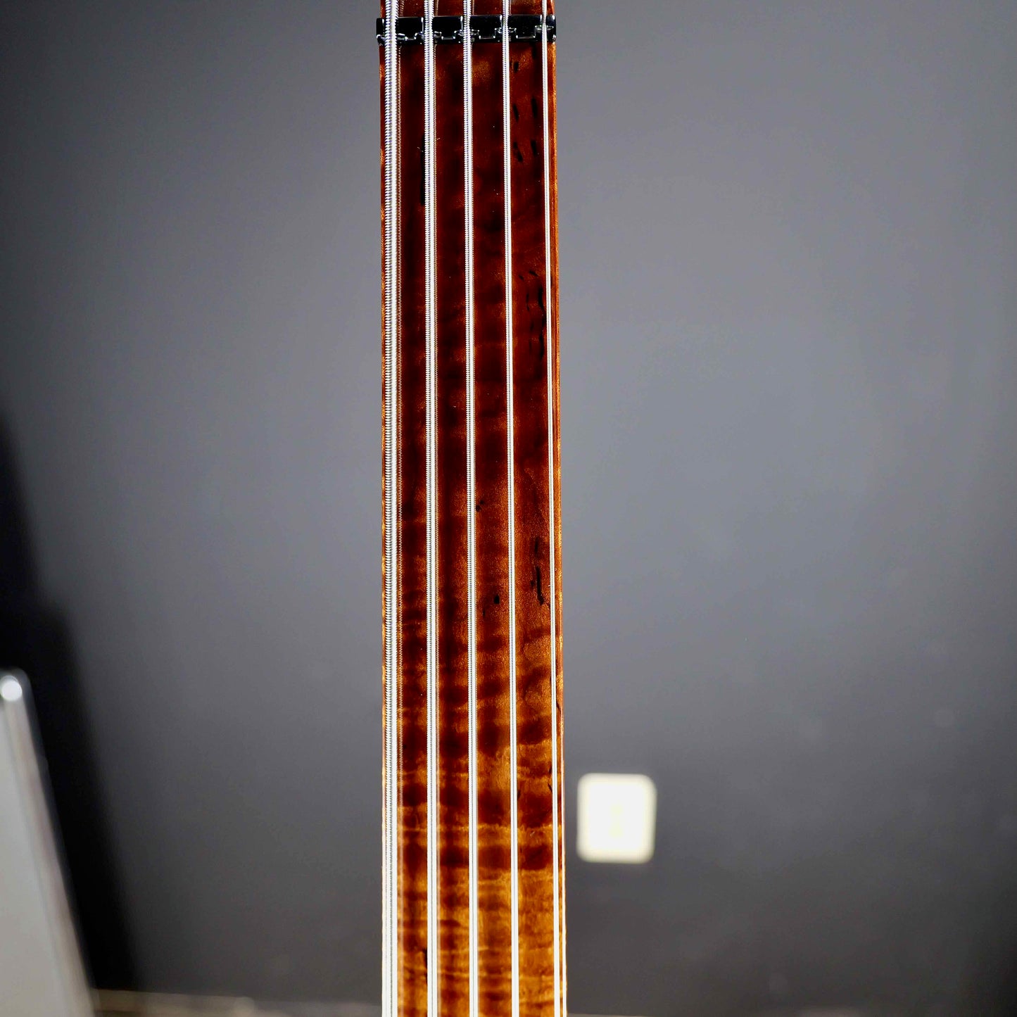 Ernie Ball Music Man BFR Stingray 5 Fretless Anthracite