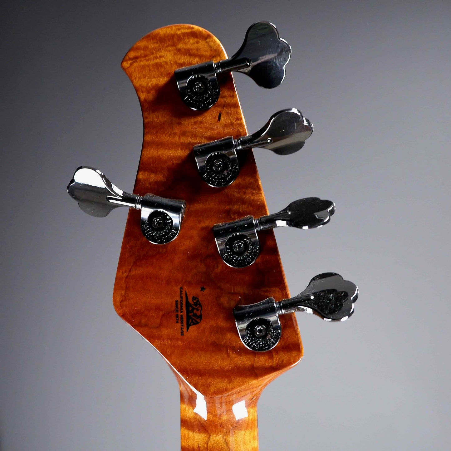 Ernie Ball Music Man BFR Stingray 5 Fretless Anthracite