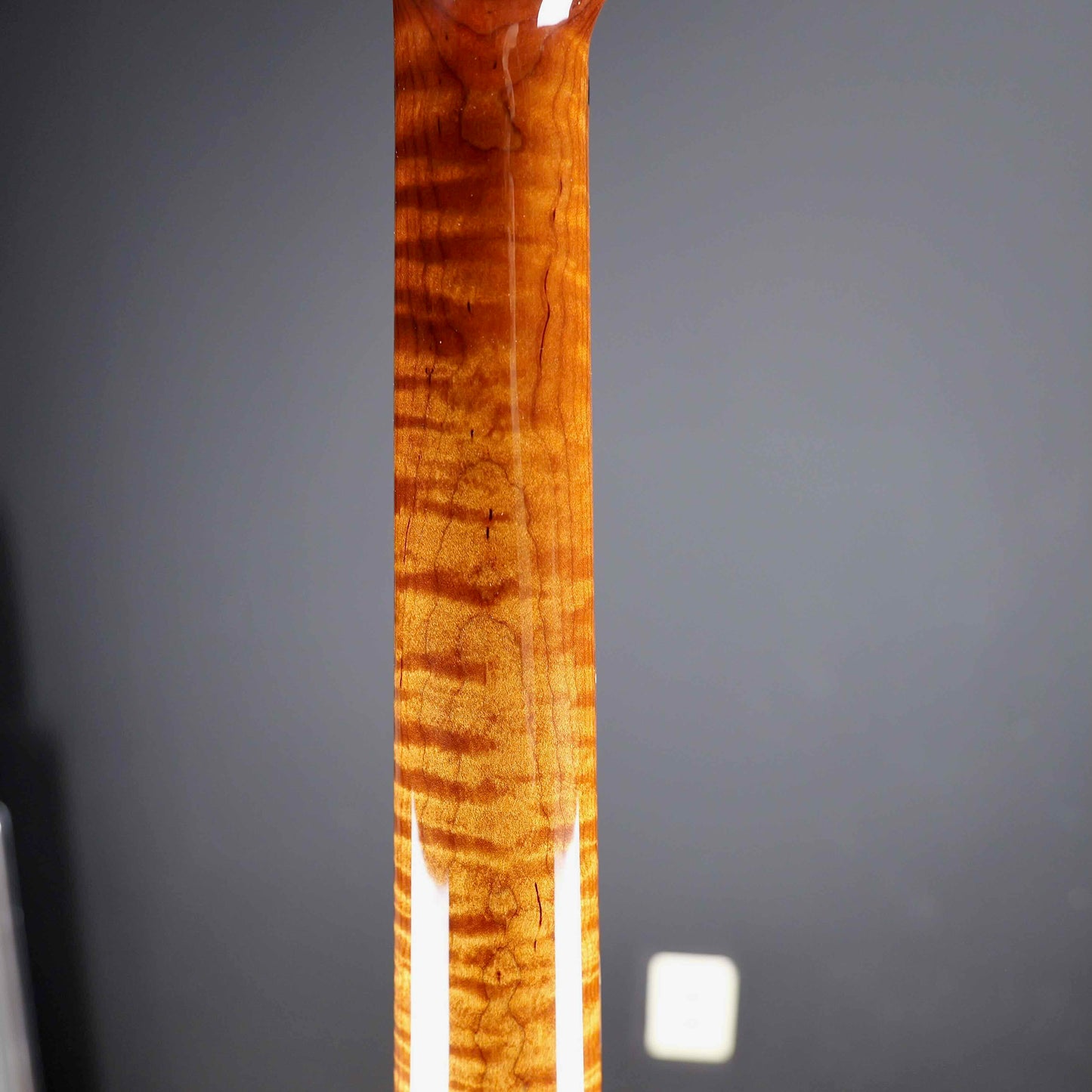 Ernie Ball Music Man BFR Stingray 5 Fretless Anthracite