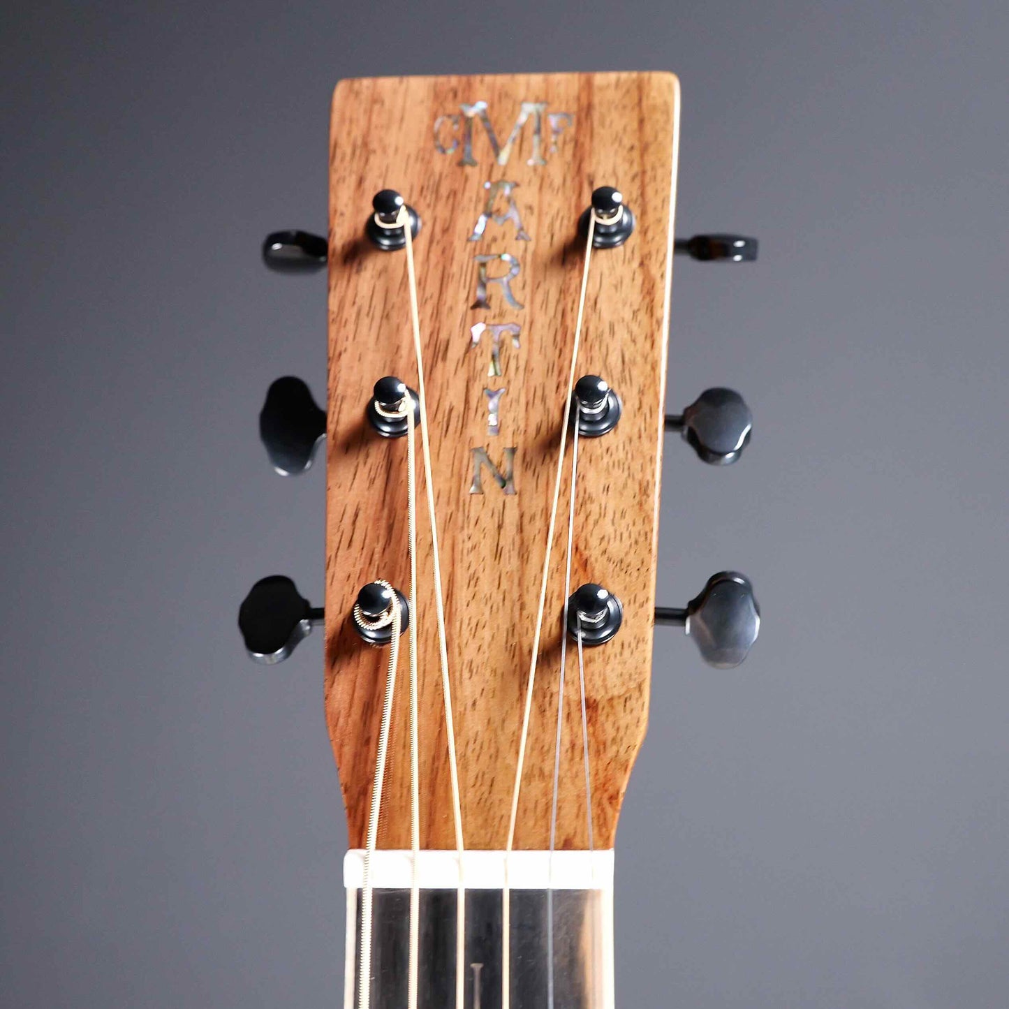 Martin OM Mikael Åkerfeldt