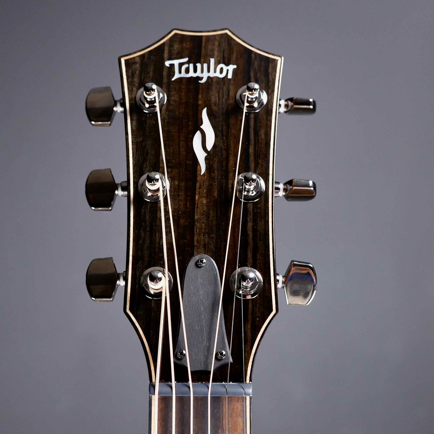 Taylor 814ce LTD Cocobolo