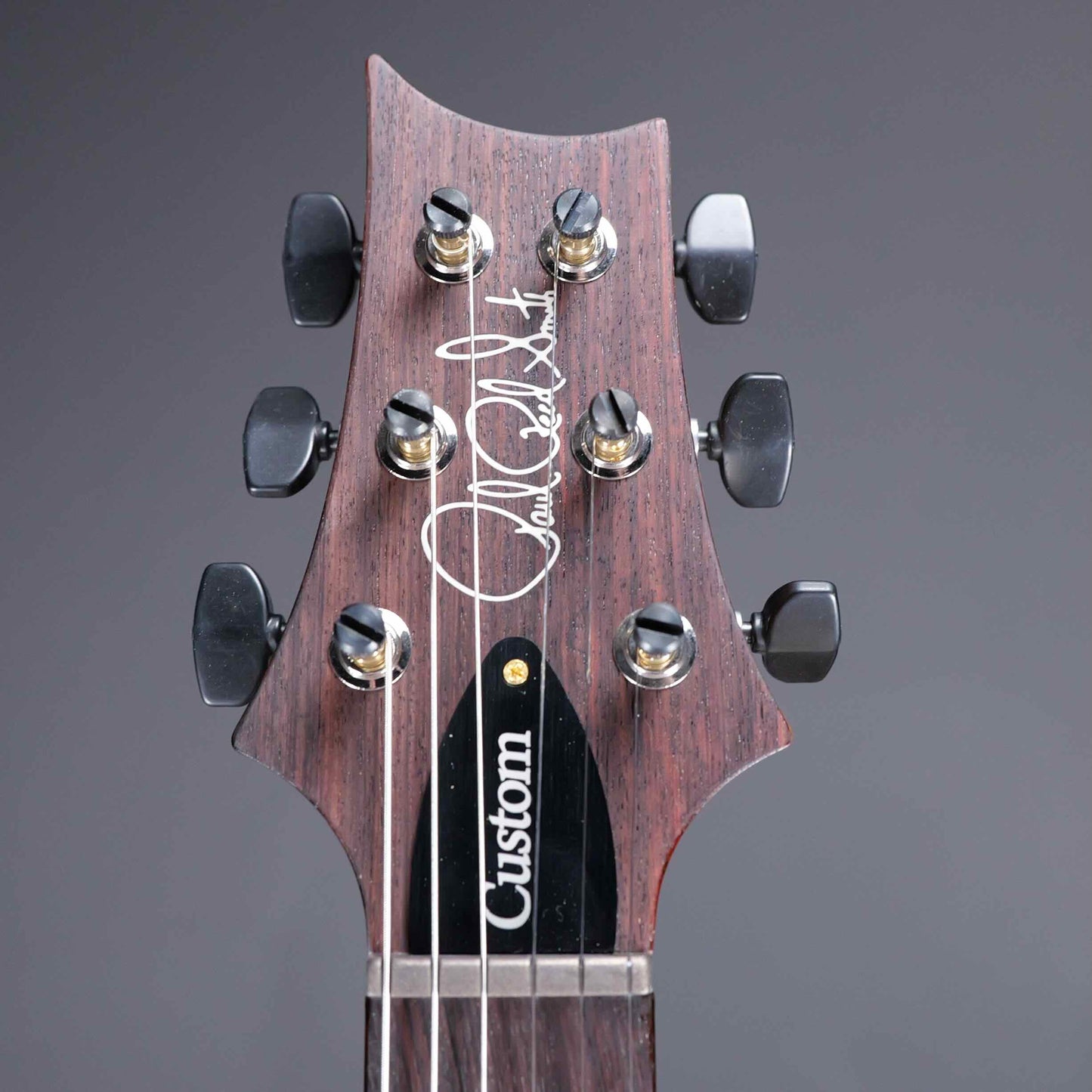 PRS Custom 24 10 Top Arctic Blue