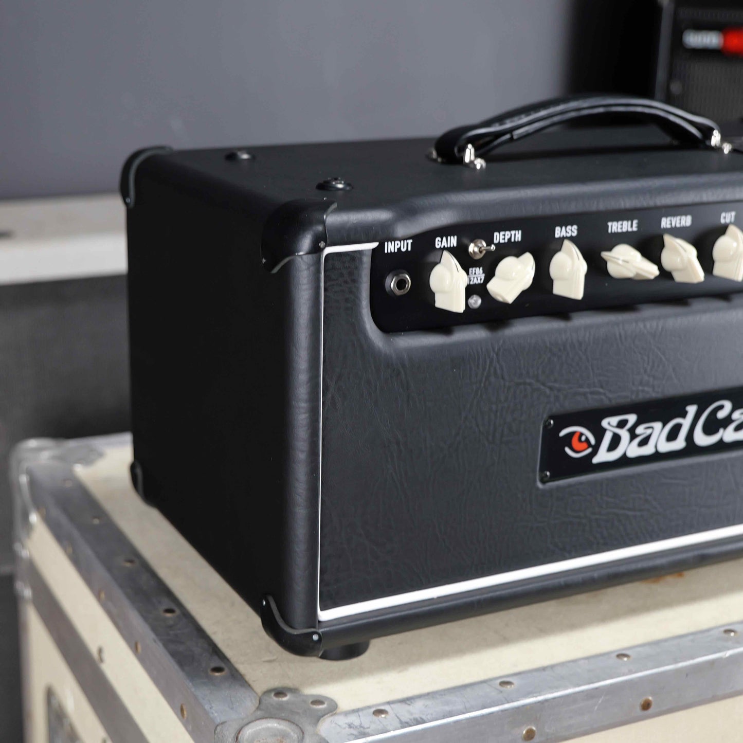 Bad Cat Handwired Cub V El34 Head