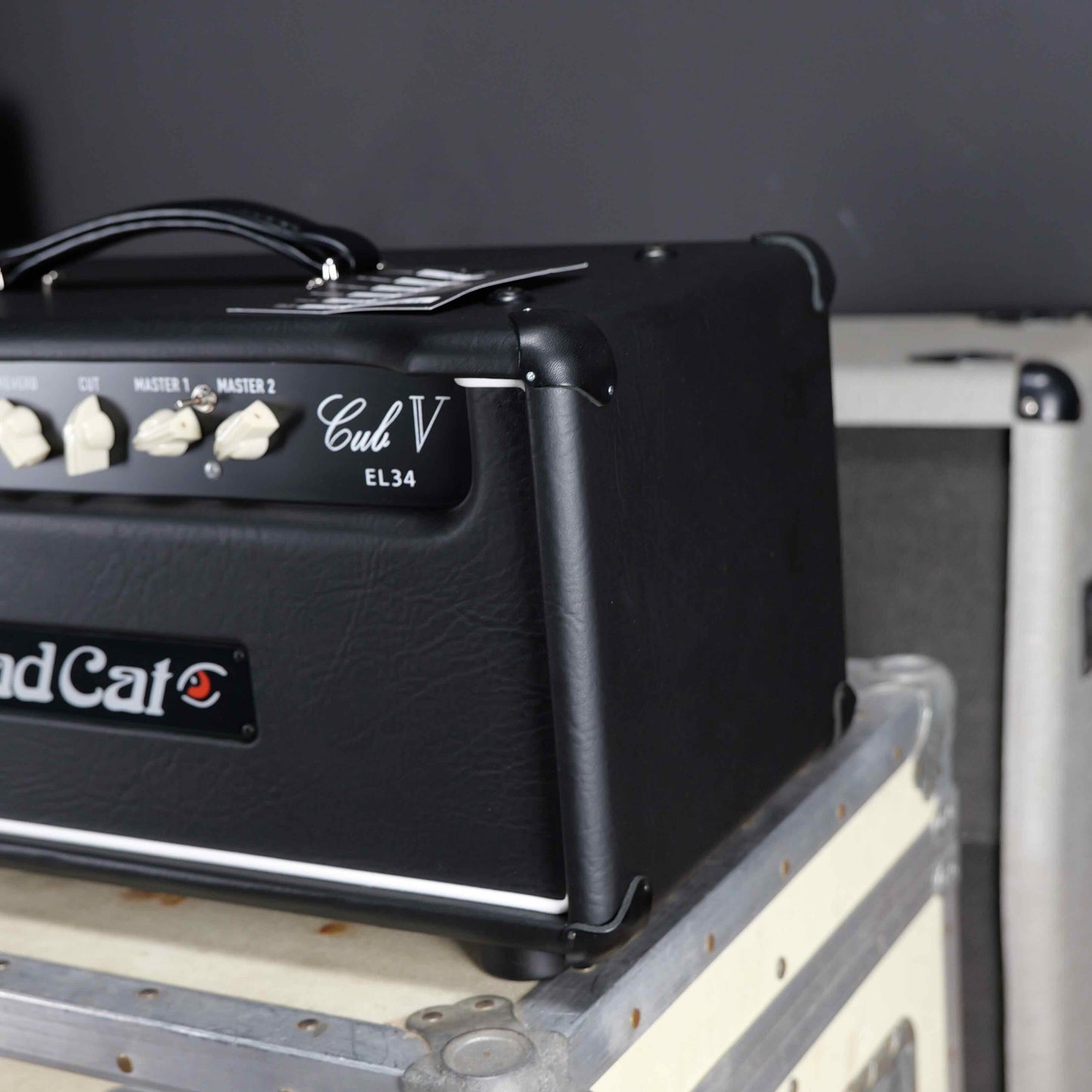 Bad Cat Handwired Cub V El34 Head