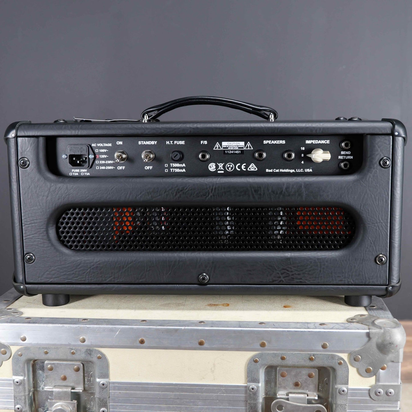 Bad Cat Handwired Cub V El34 Head