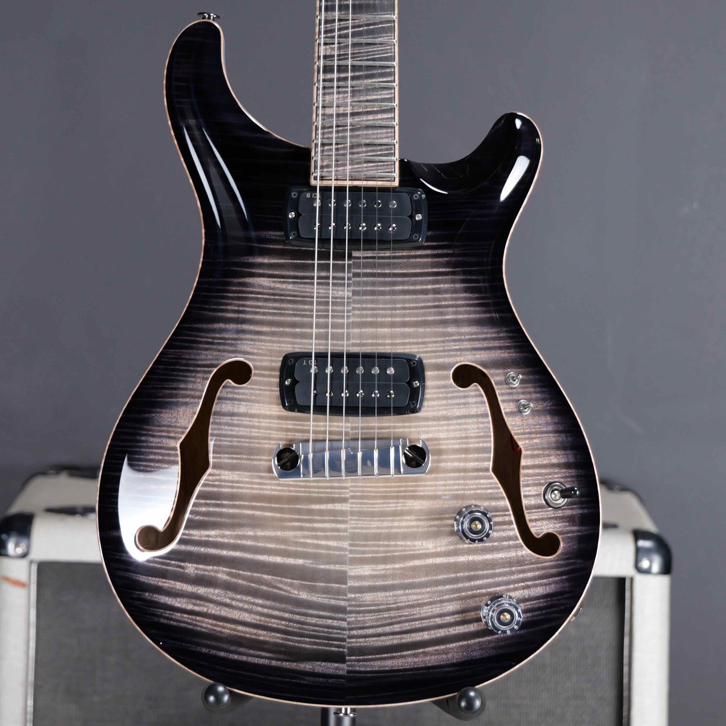 PRS Private Stock 30th Anniversary "Birds of a Feather" Hollowbody I Limited