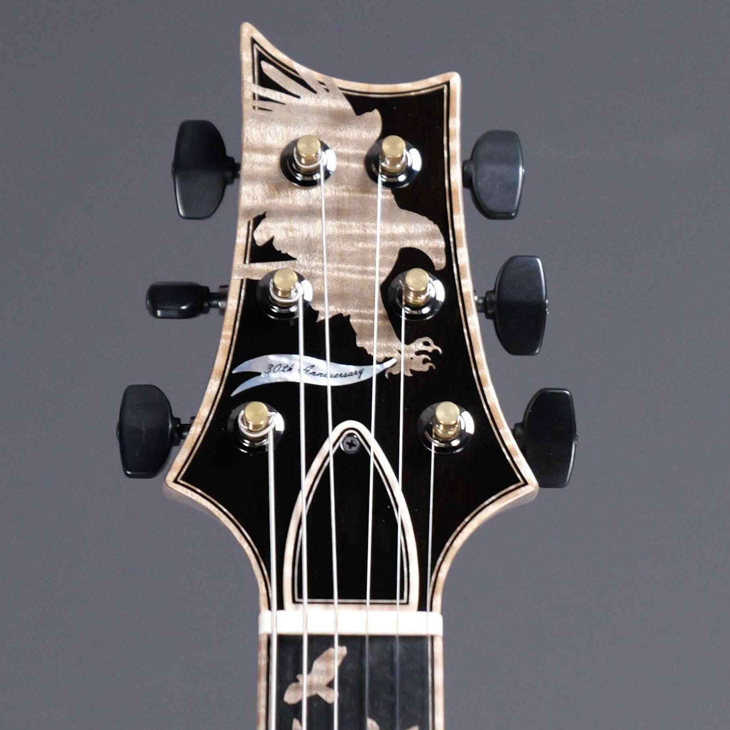 PRS Private Stock 30th Anniversary "Birds of a Feather" Hollowbody I Limited
