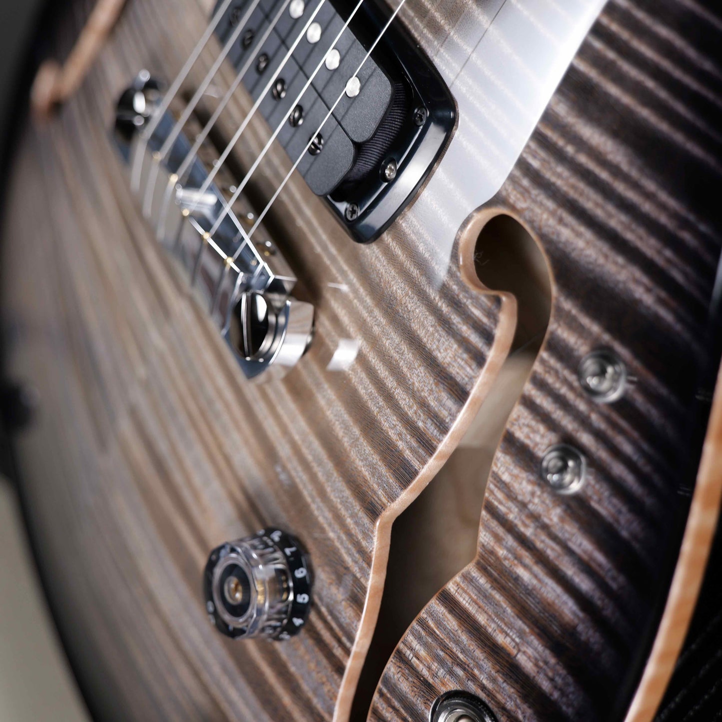 PRS Private Stock 30th Anniversary "Birds of a Feather" Hollowbody I Limited