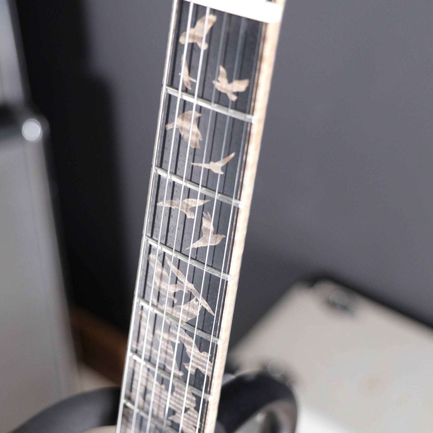 PRS Private Stock 30th Anniversary "Birds of a Feather" Hollowbody I Limited