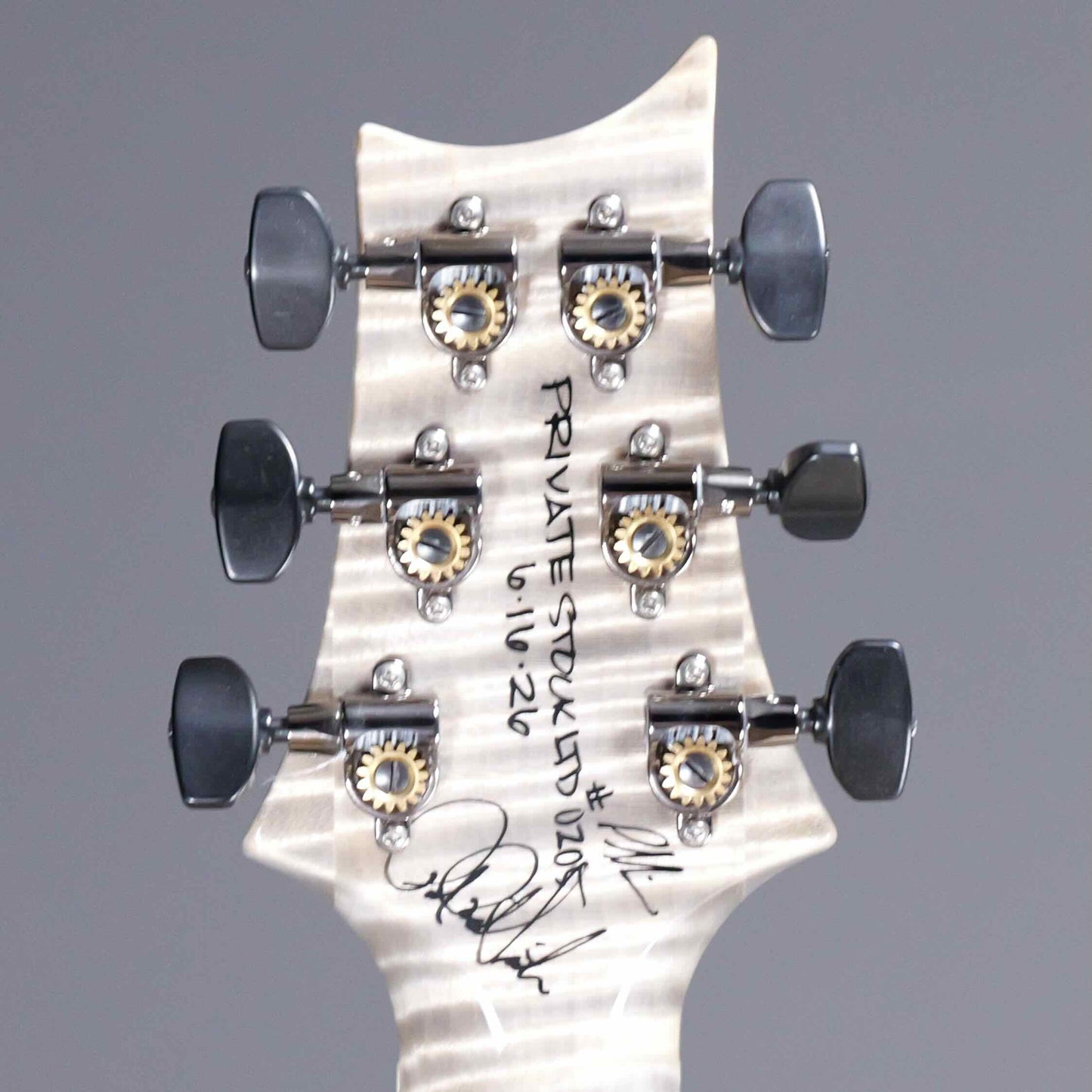 PRS Private Stock 30th Anniversary "Birds of a Feather" Hollowbody I Limited