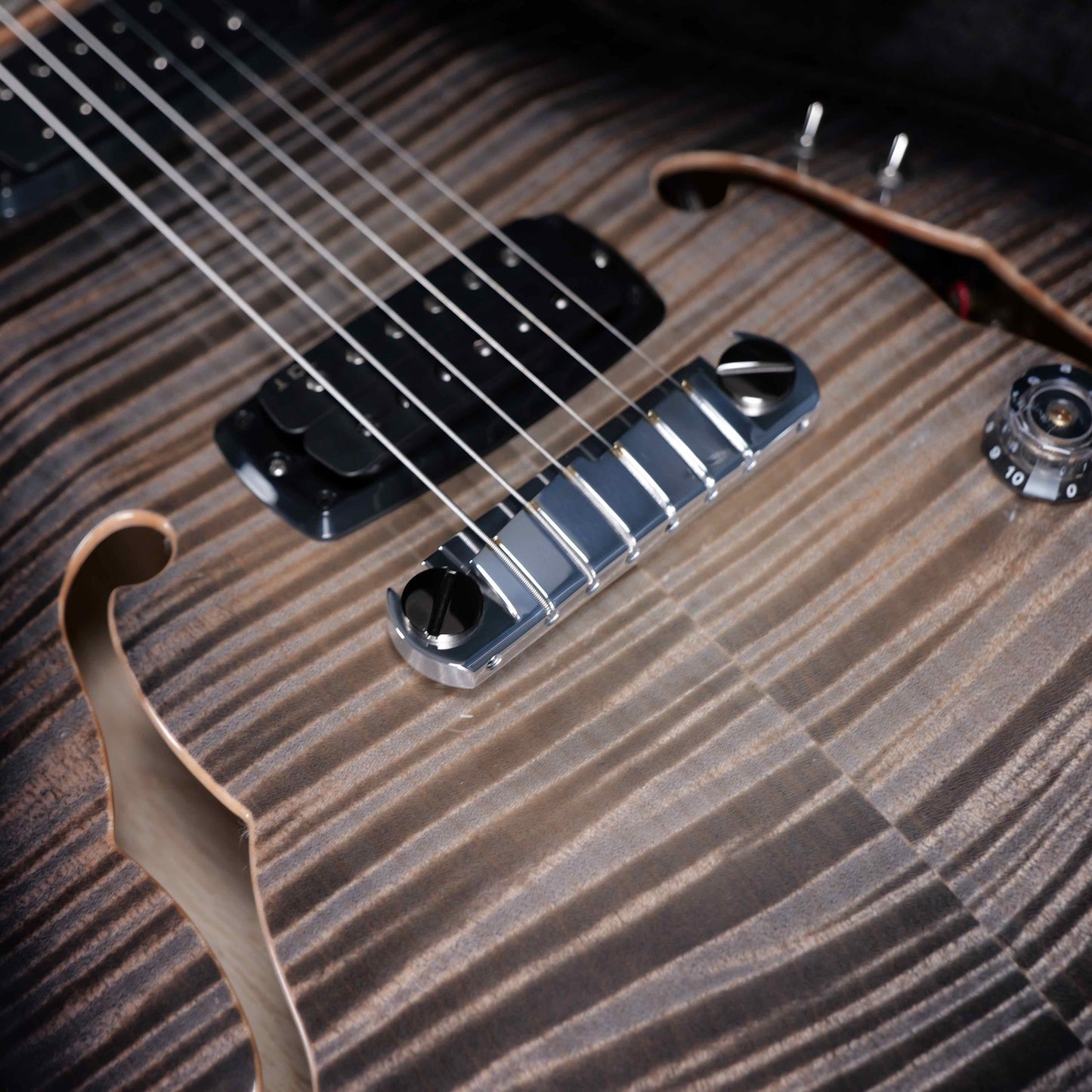 PRS Private Stock 30th Anniversary "Birds of a Feather" Hollowbody I Limited