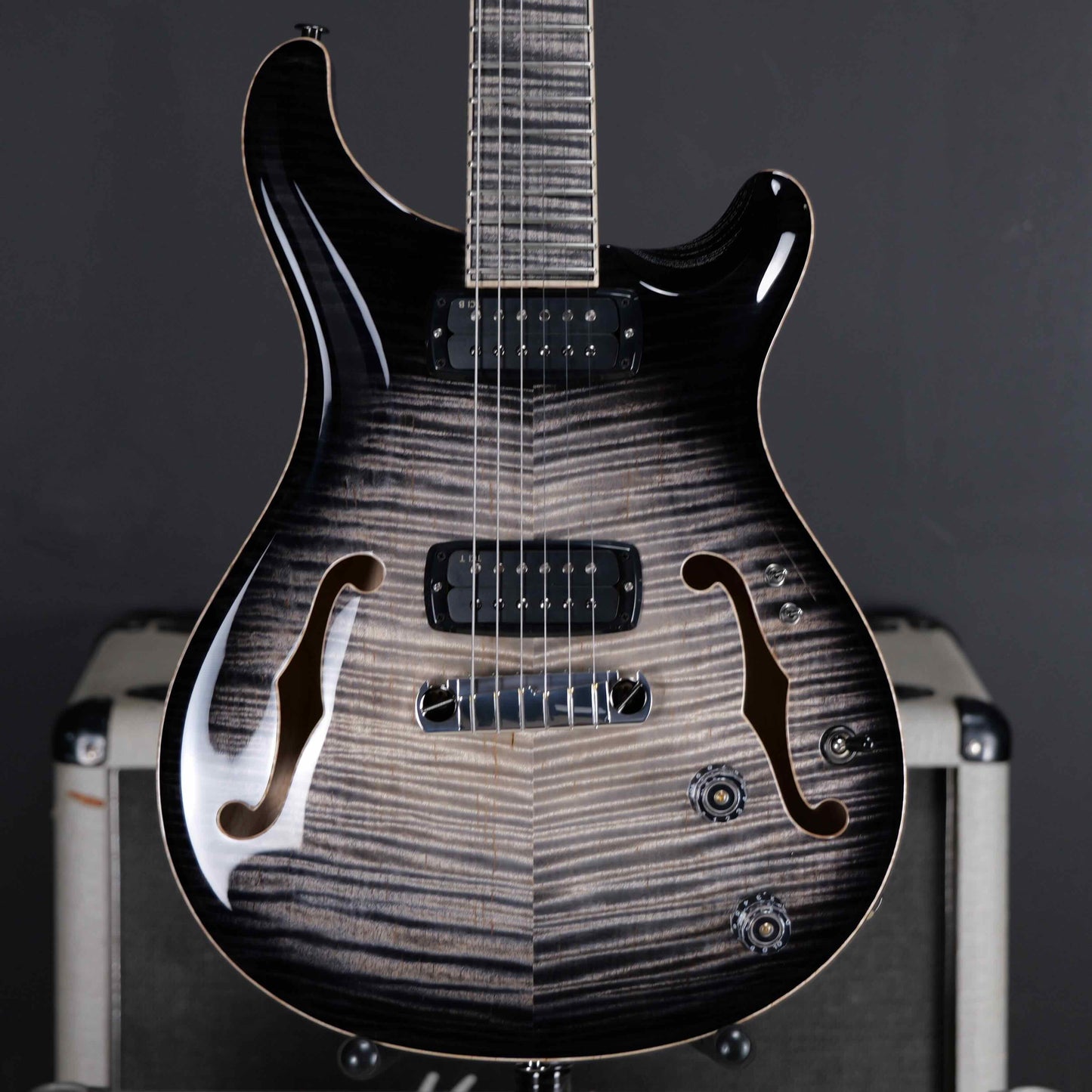 PRS Private Stock 30th Anniversary "Birds of a Feather" Hollowbody I Limited