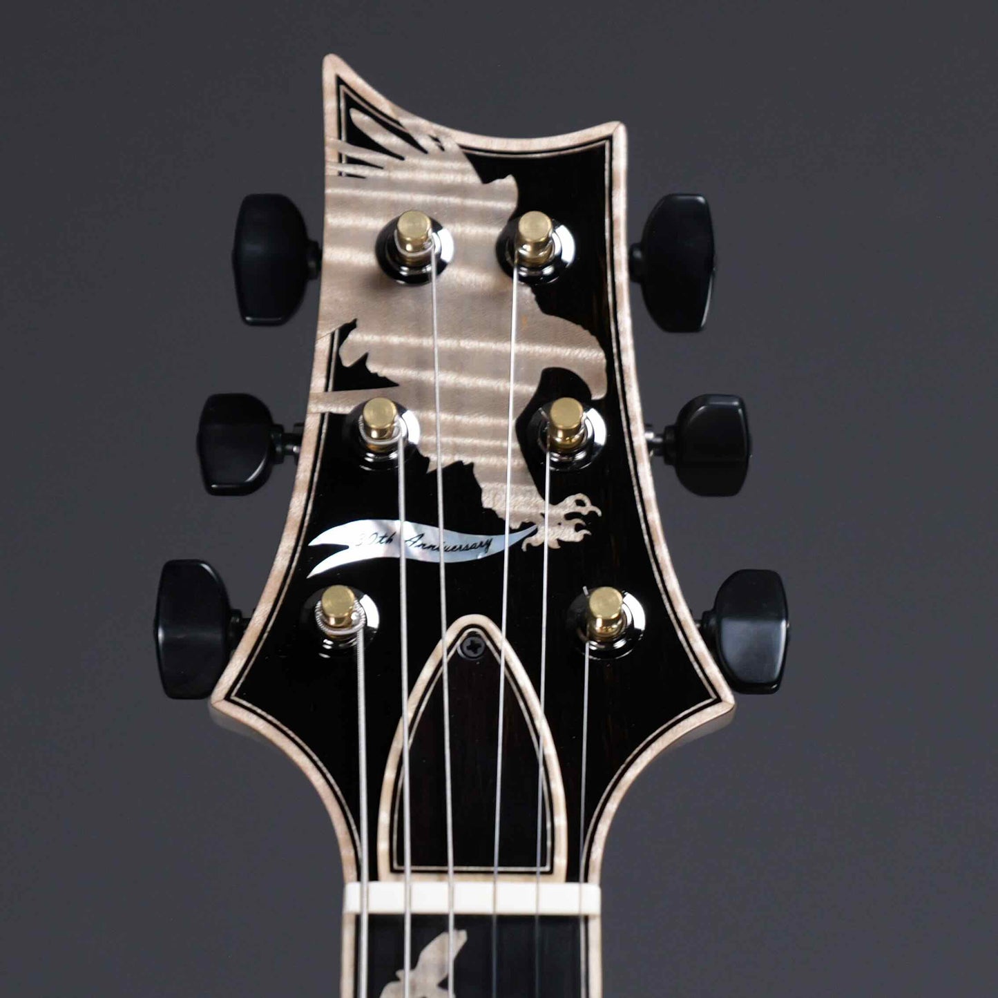 PRS Private Stock 30th Anniversary "Birds of a Feather" Hollowbody I Limited