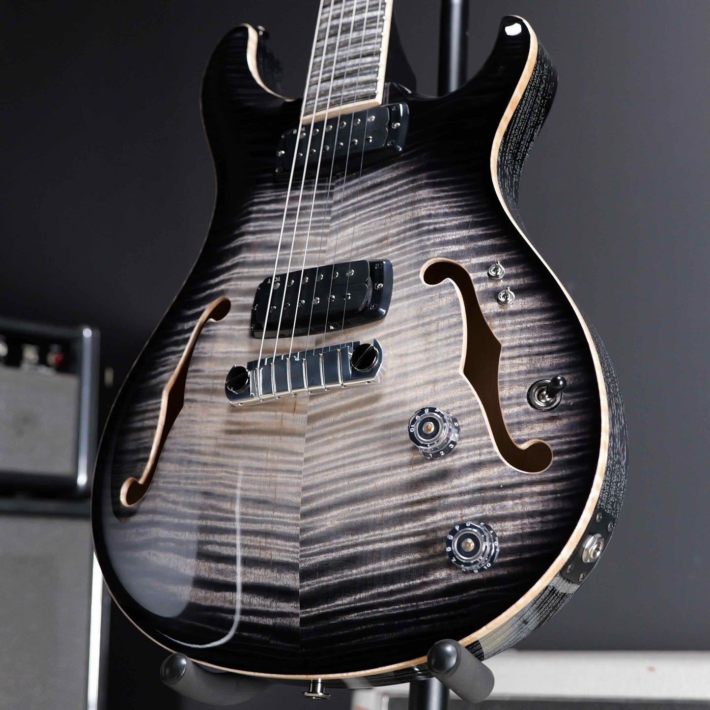 PRS Private Stock 30th Anniversary "Birds of a Feather" Hollowbody I Limited
