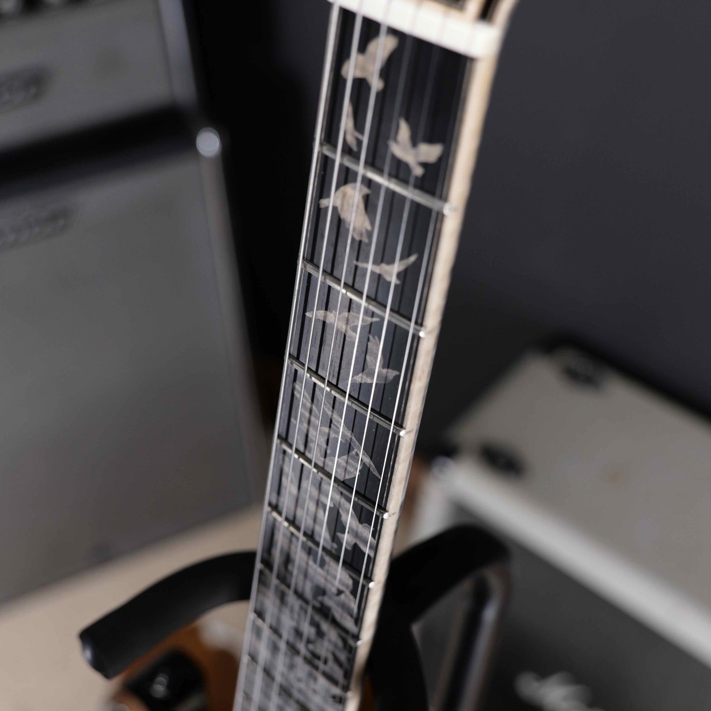 PRS Private Stock 30th Anniversary "Birds of a Feather" Hollowbody I Limited