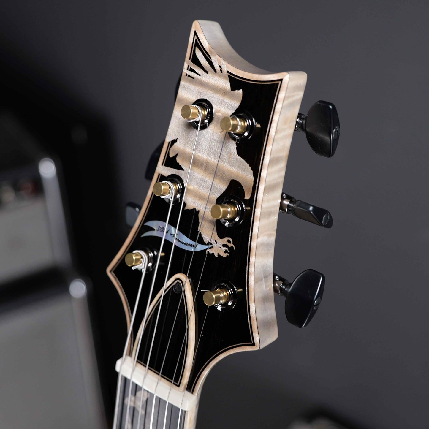 PRS Private Stock 30th Anniversary "Birds of a Feather" Hollowbody I Limited