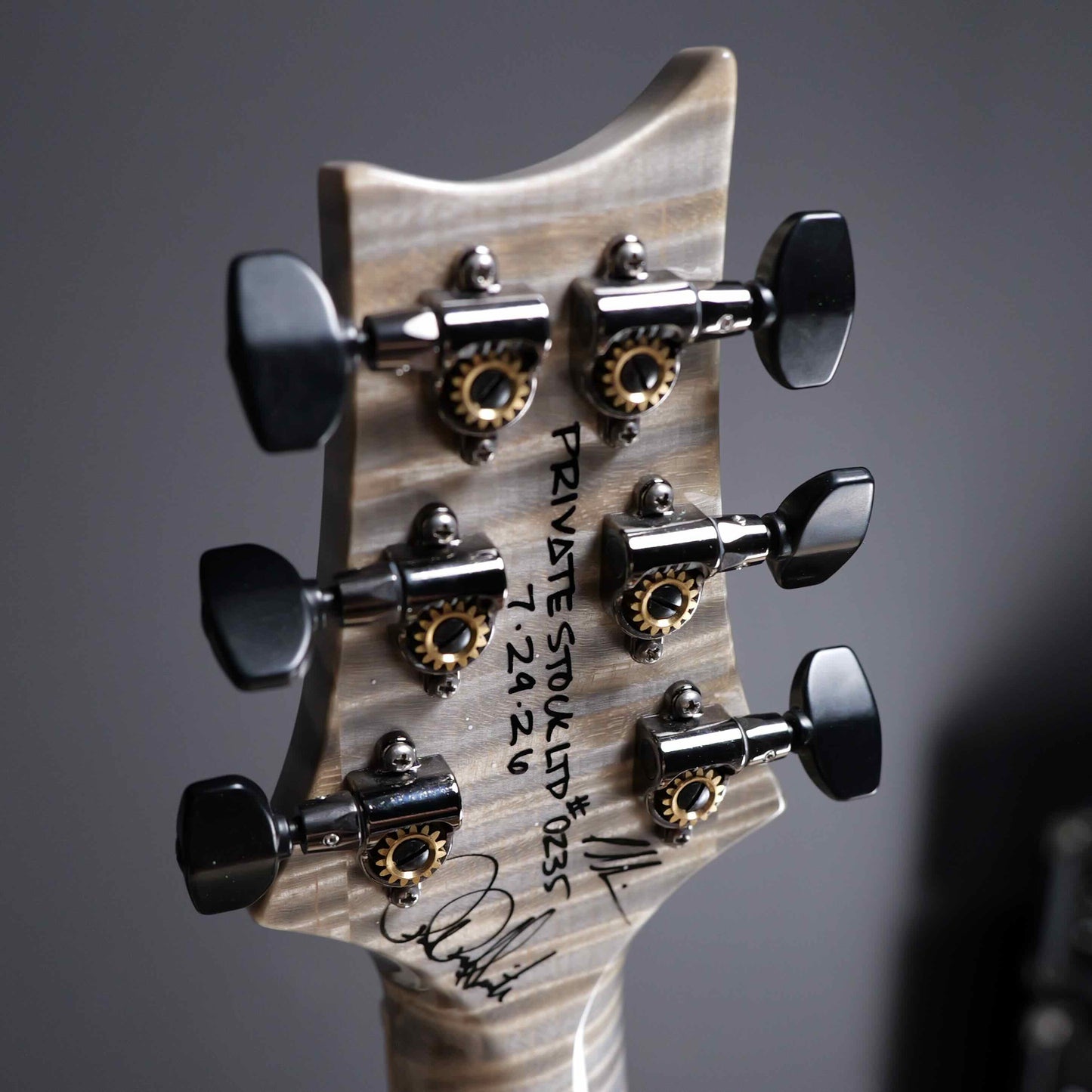 PRS Private Stock 30th Anniversary "Birds of a Feather" Hollowbody I Limited