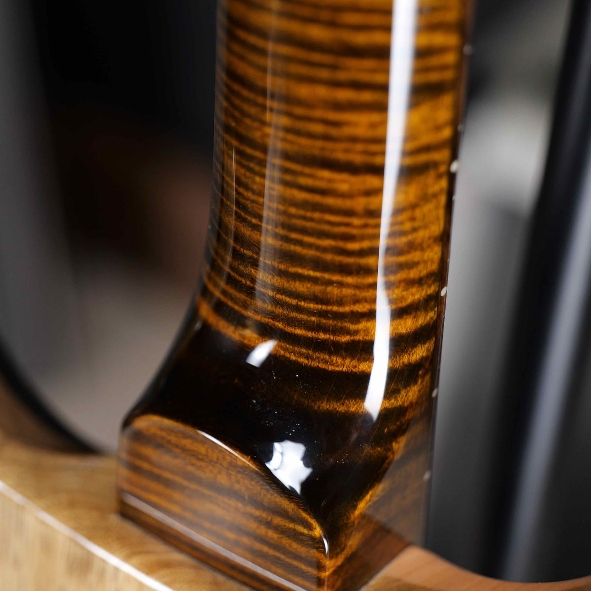 PRS Wood Library Custom 24 Stoptail Limited Edition Tiger Eye