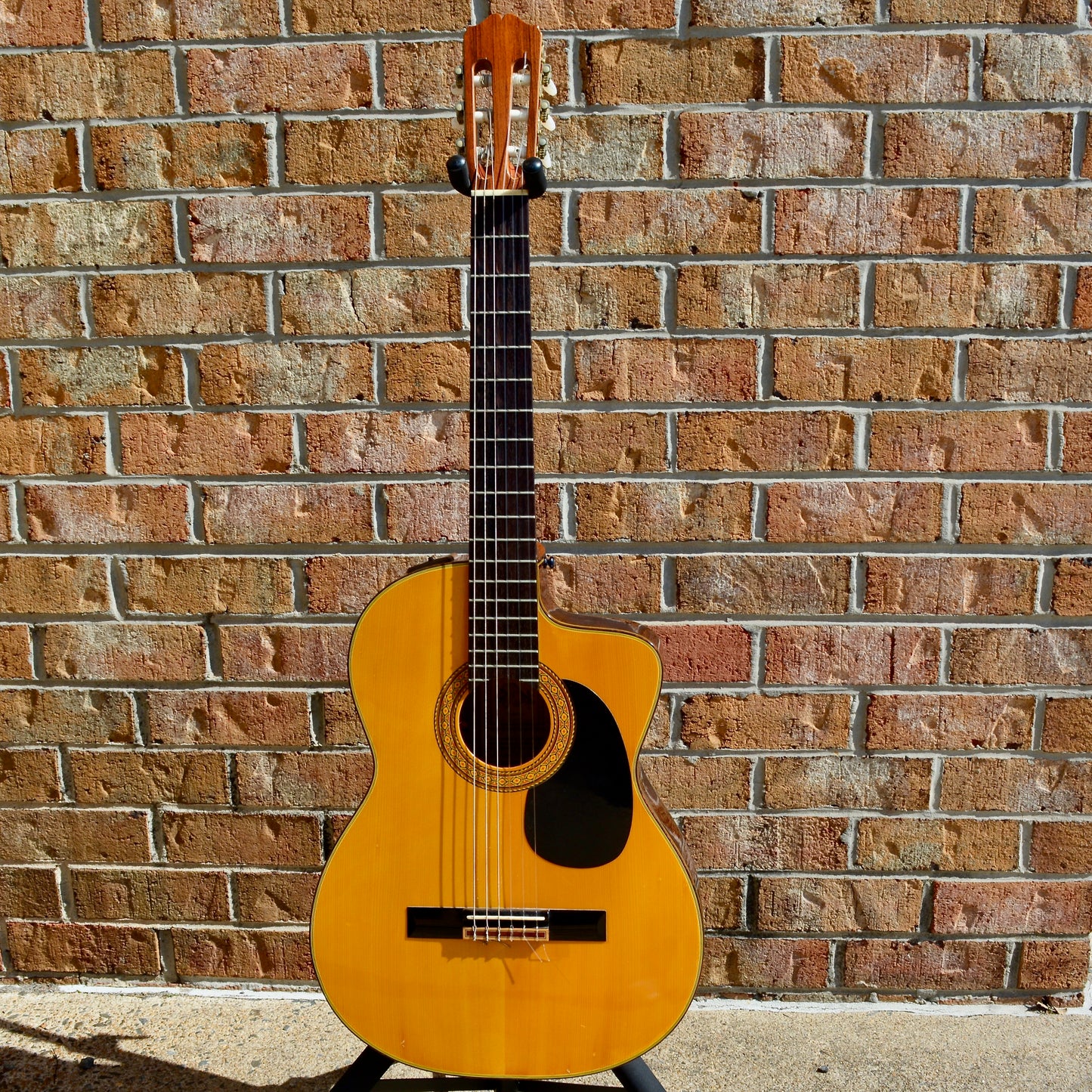 Takamine EC-132C