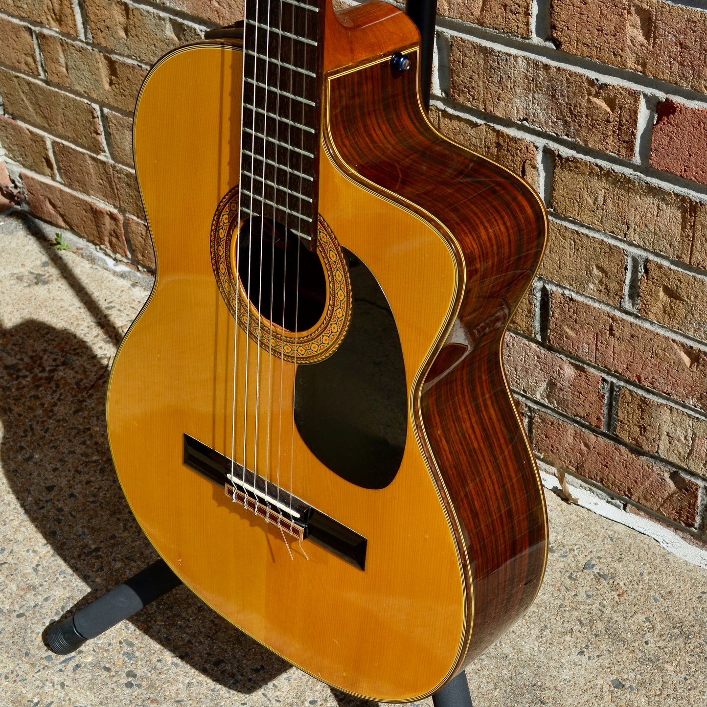 Takamine EC-132C