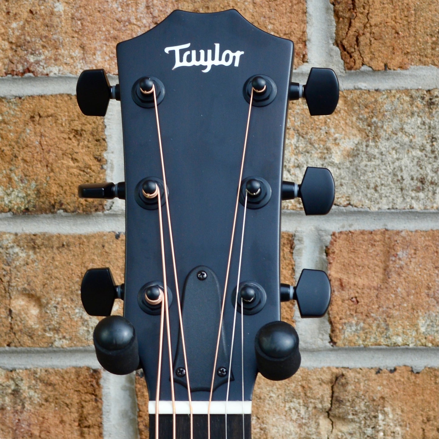 Taylor 214ce-GREY DLX LTD