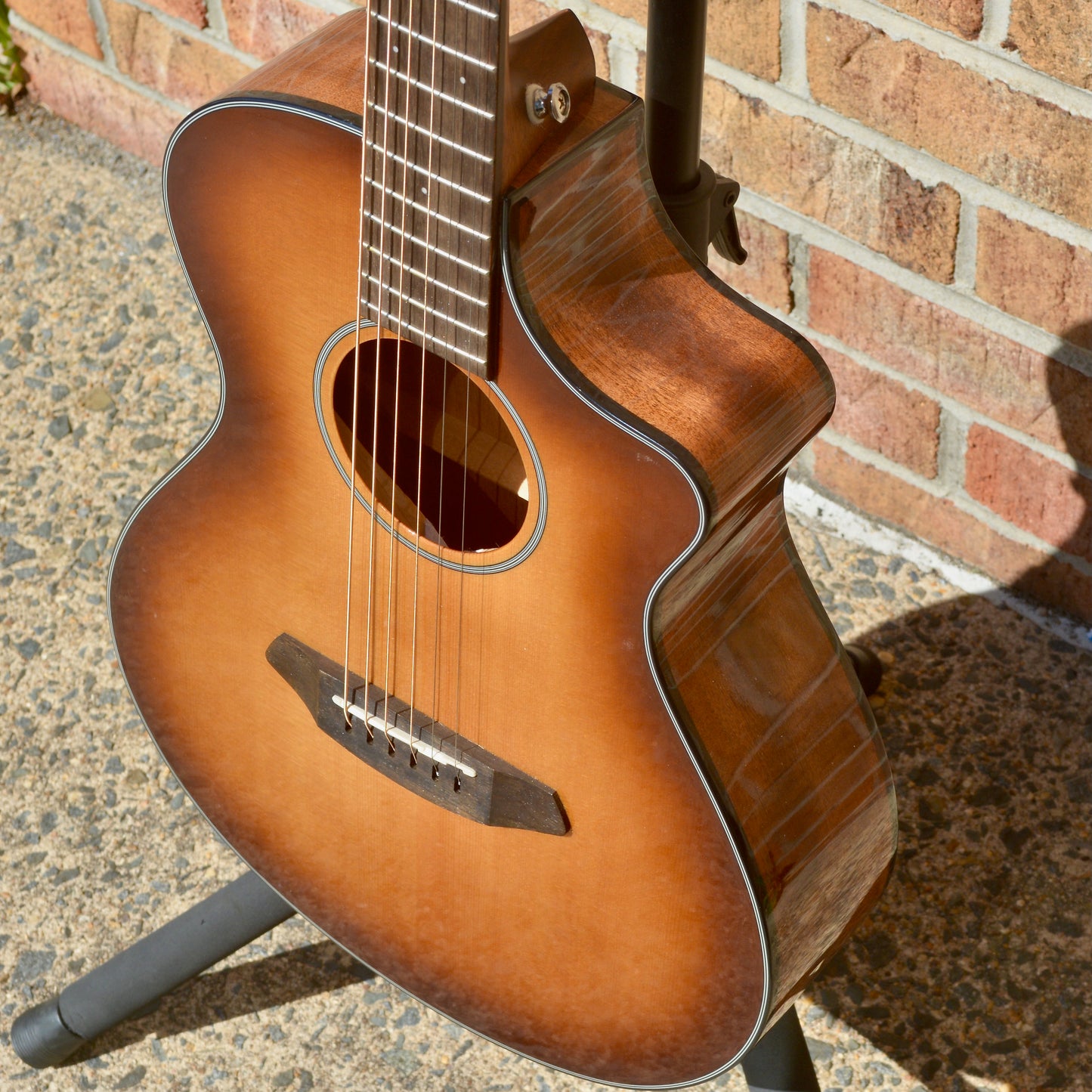 Breedlove Discovery Companion CE SB