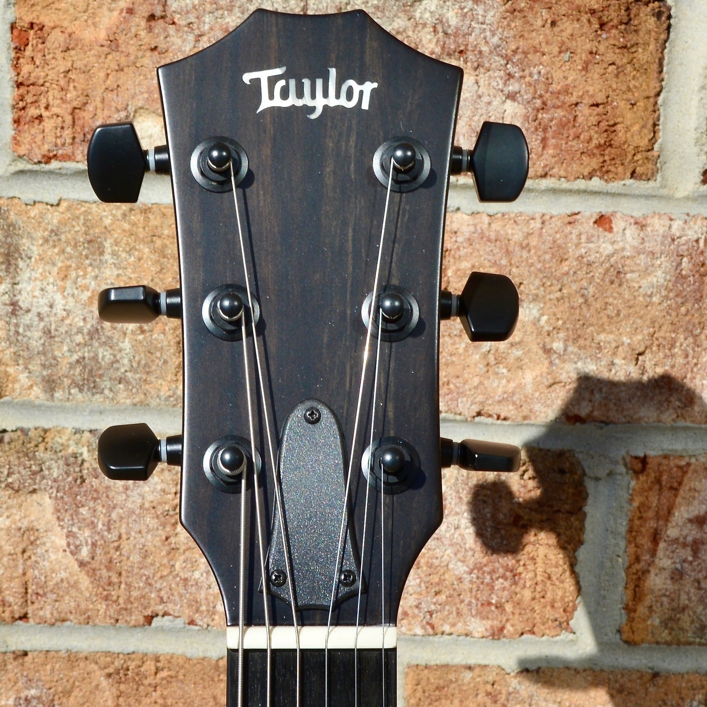 Taylor T5z Classic-Koa
