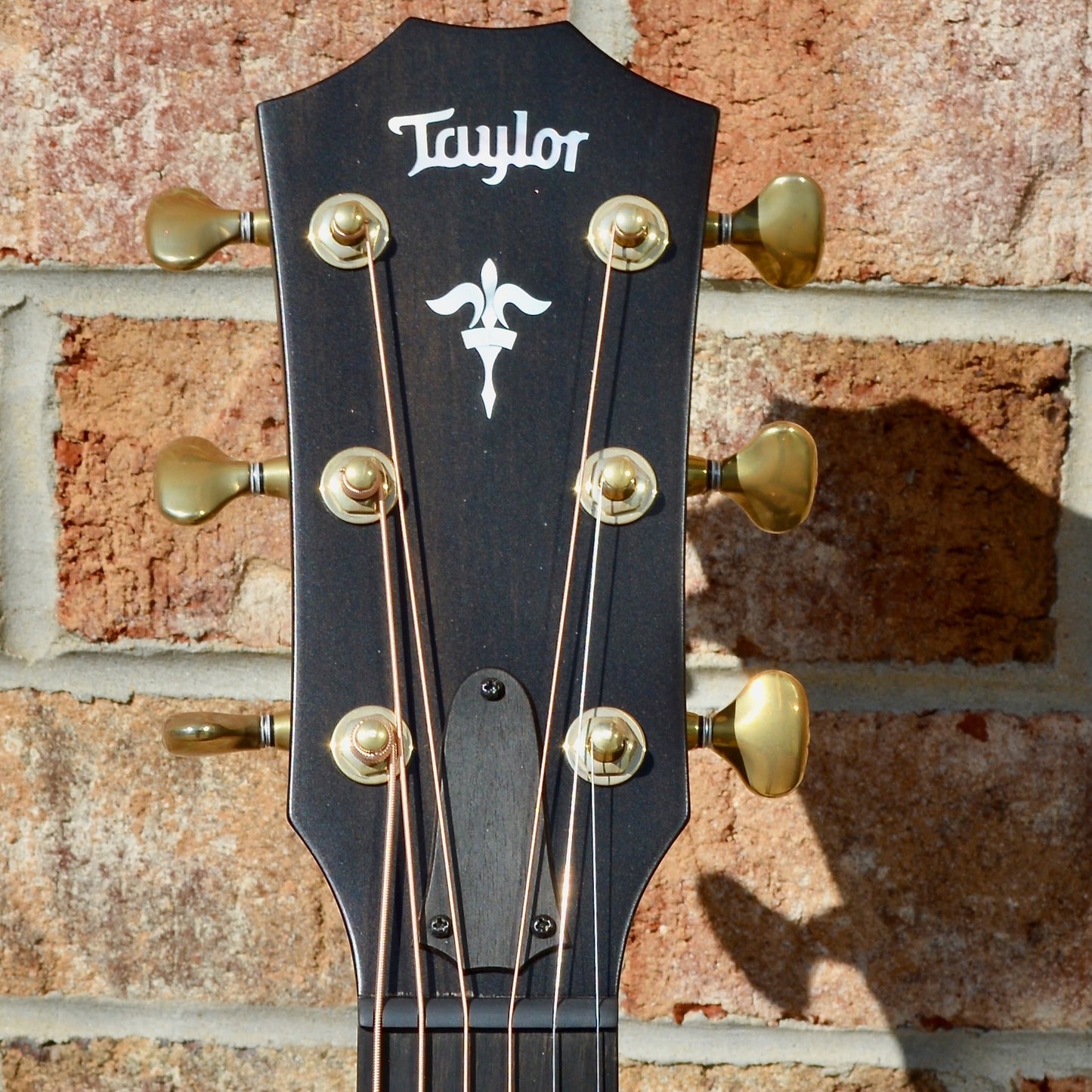 Taylor Builder's Edition 614ce WHB