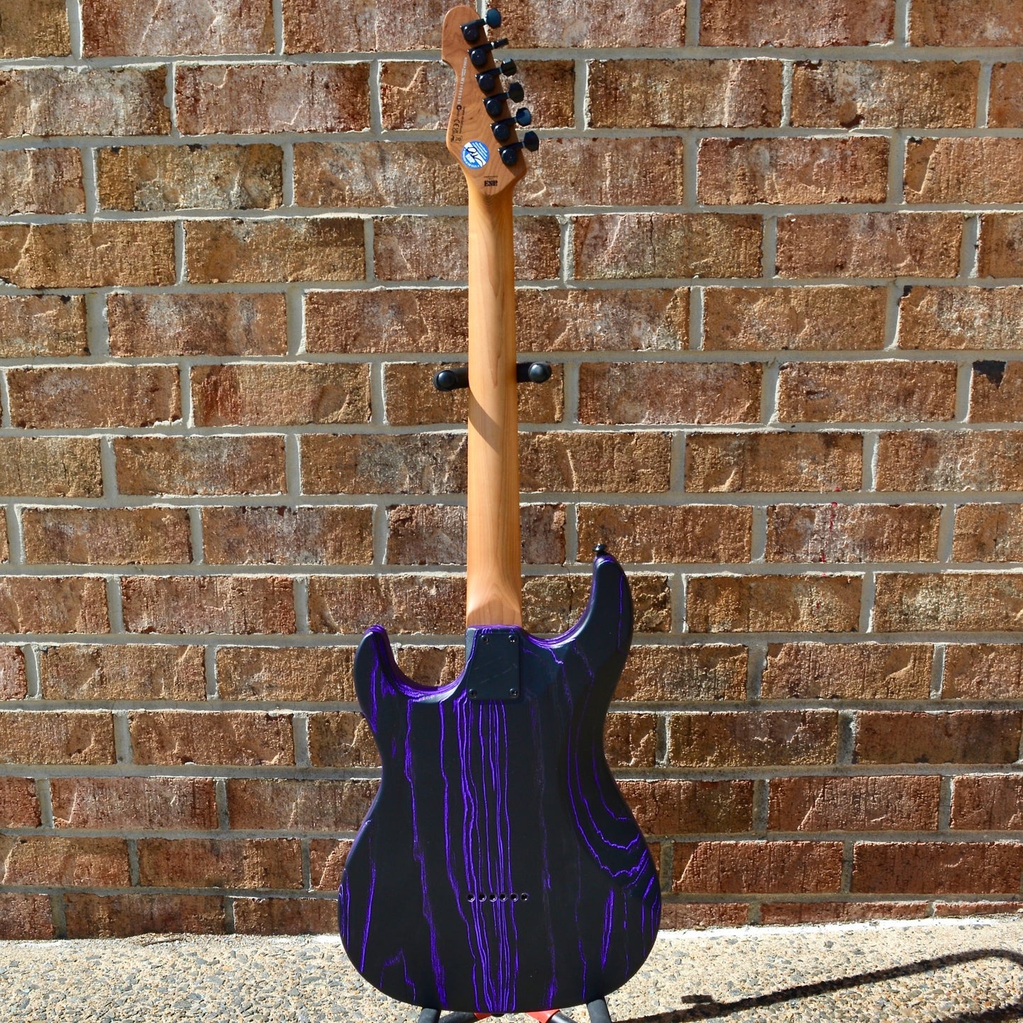 ESP LTD SN-1000HT Purple Blast