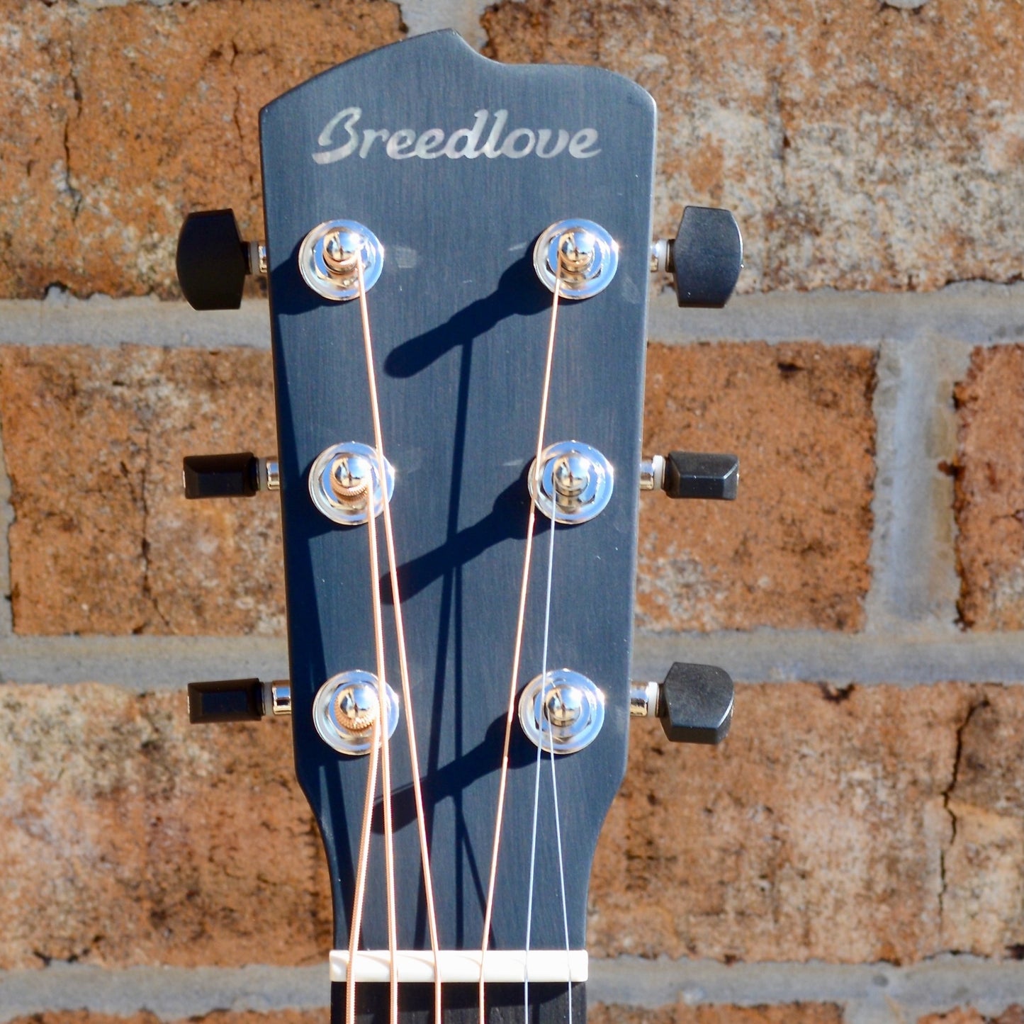 Breedlove Oregon Concerto CE Myrtlewood/Myrtlewood