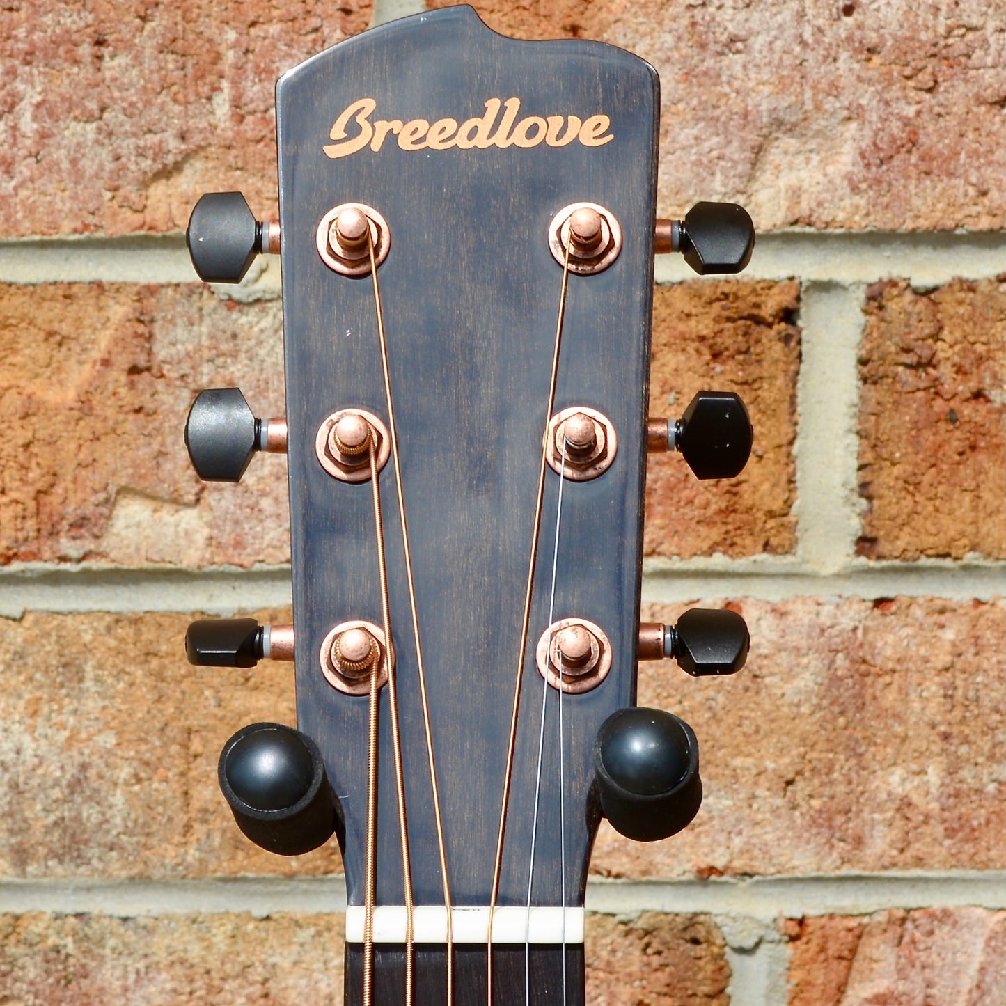 Breedlove Pursuit Exotic S Concerto Tiger’s Eye CE Myrtlewood-Myrtlewood