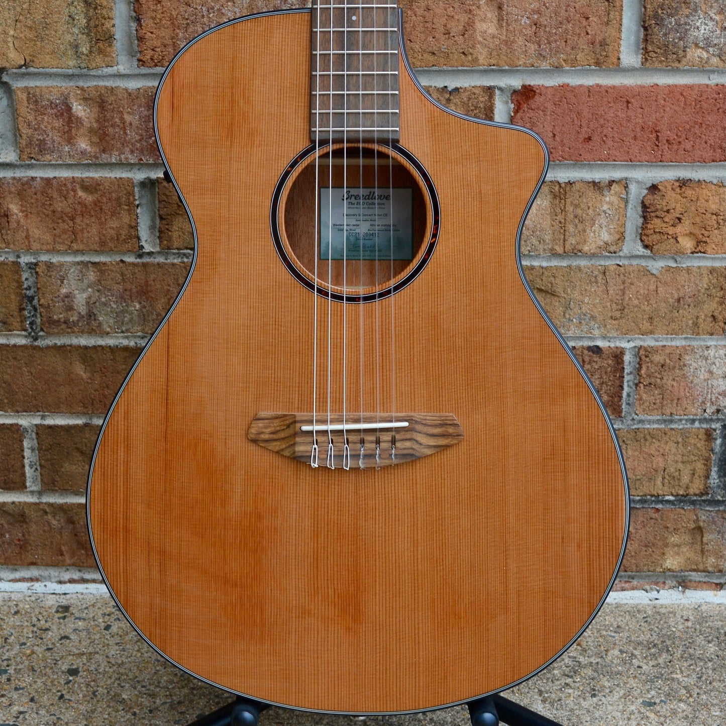 Breedlove Discovery S Concert Nylon CE