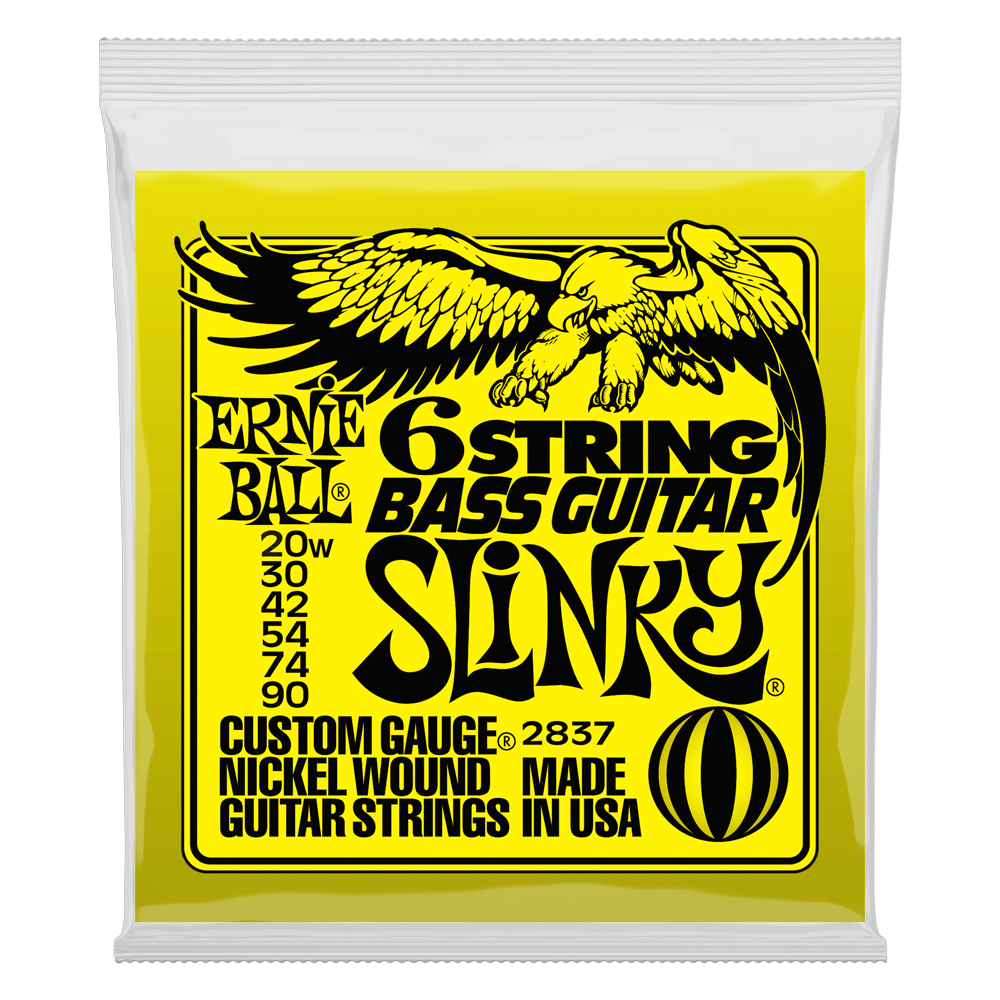 Ernie Ball 6 String Bass Guitar Slinky Strings 20-90